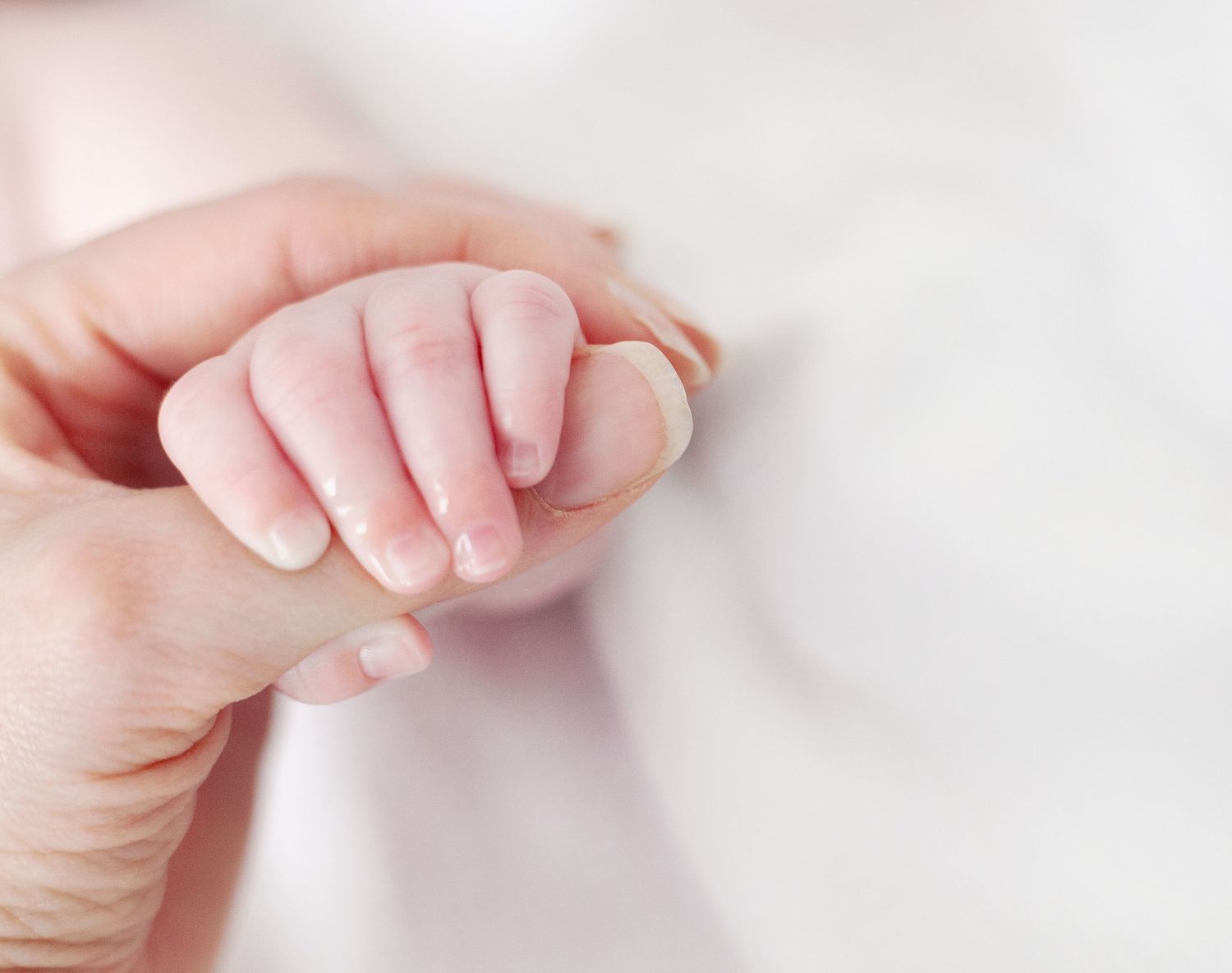 Close up of a tiny baby's hand gently grasping an adult's finger against a soft white background.