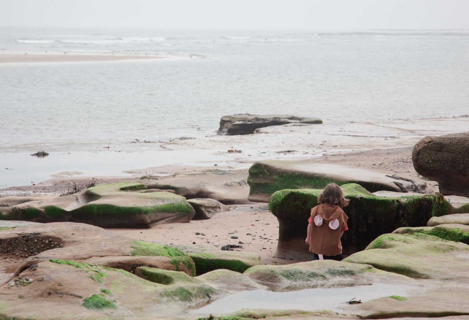 child dressed in a cape wandering among mossy rocks along a misty beach shoreline at low tide.