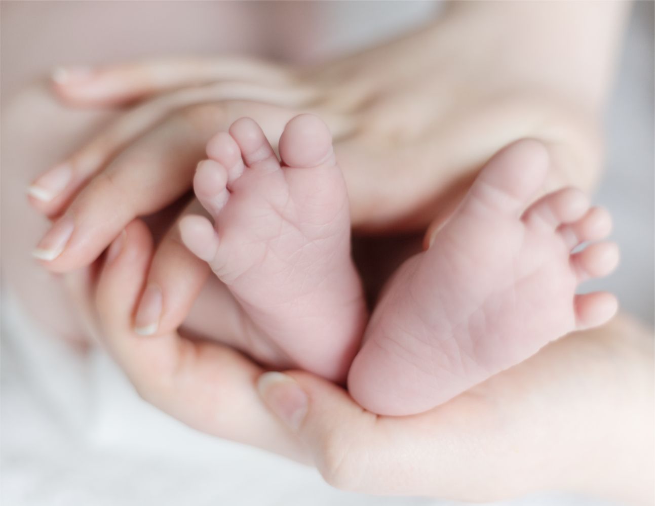 Tiny newborn baby feet cradled gently in adult hands against soft white fabric background.