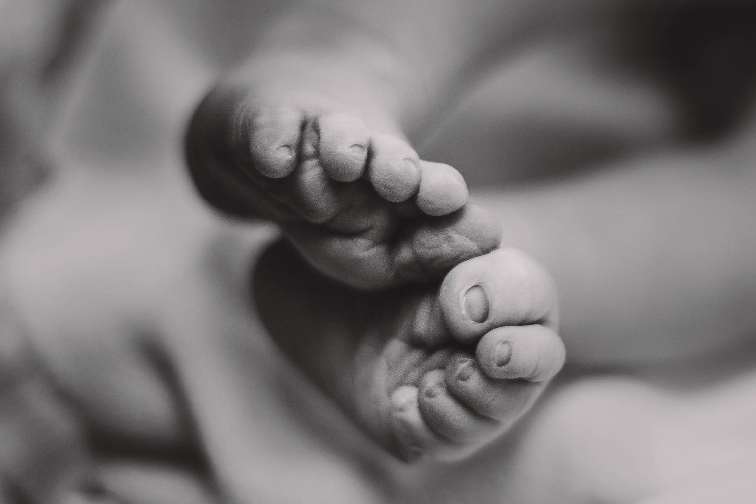 Black and white close-up photo of a newborn baby's tiny feet and toes.