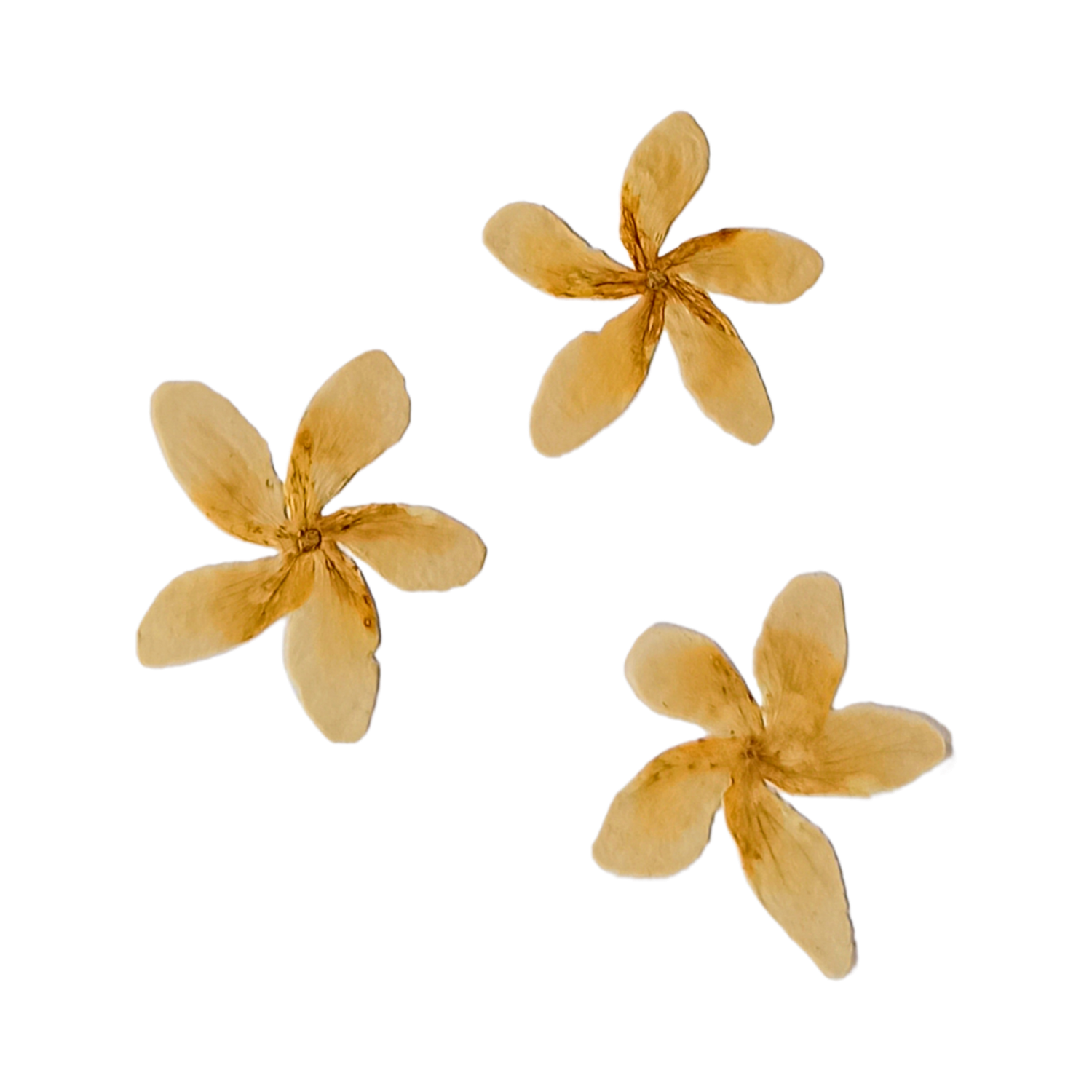 Three golden yellow five-petal flower embellishments on a white background.