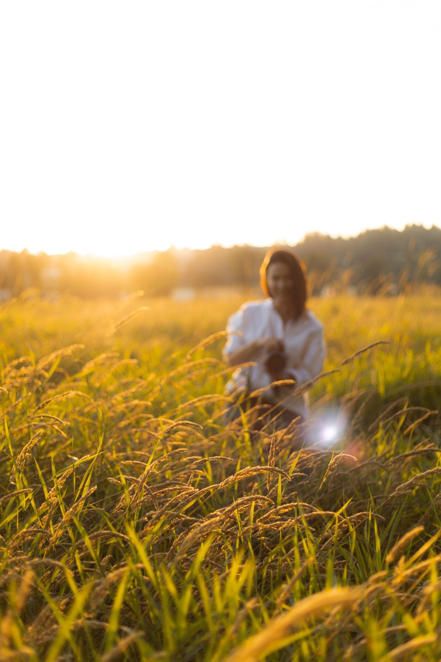 Sun flare illuminates tall grass with blurred figure in background.