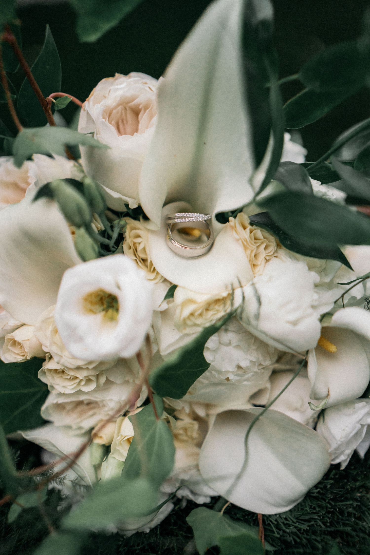 Delicate white roses with dark green leaves in a dramatic moody lighting arrangement create an elegant contrast.