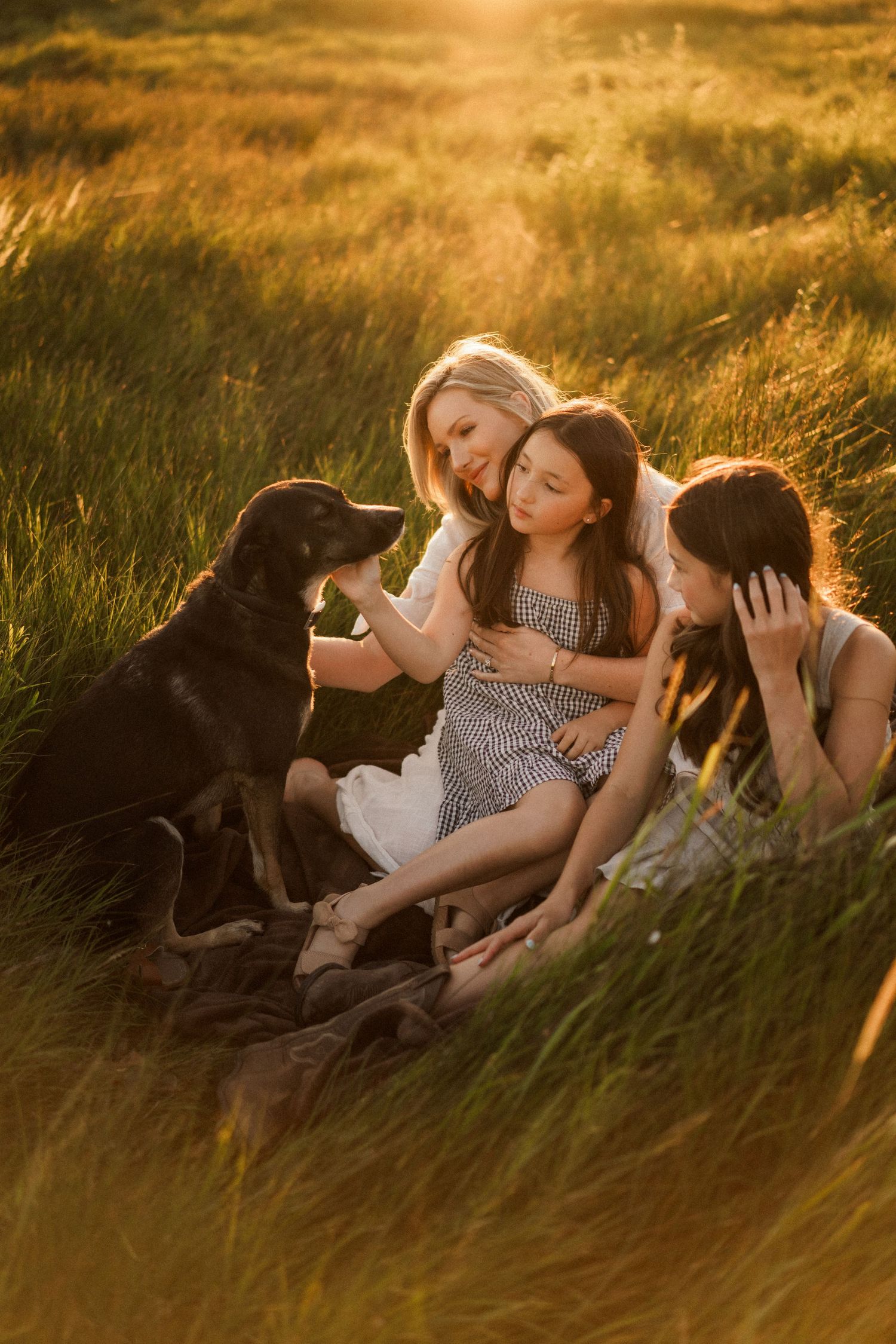 A heartwarming sunset scene shows people relaxing in tall golden grass with a black dog in nature.