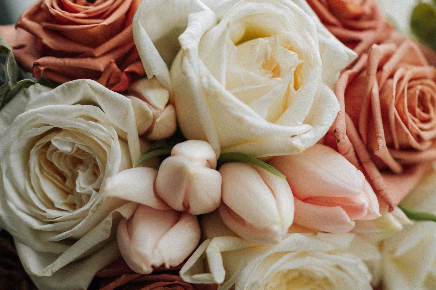 Close-up detail of delicate peach and cream roses in a wedding bouquet.