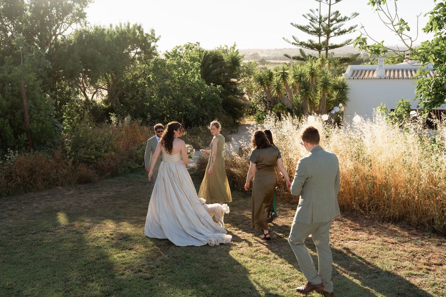 Bride and groom with wedding party walking in sunlit garden with lush greenery and golden hour light.