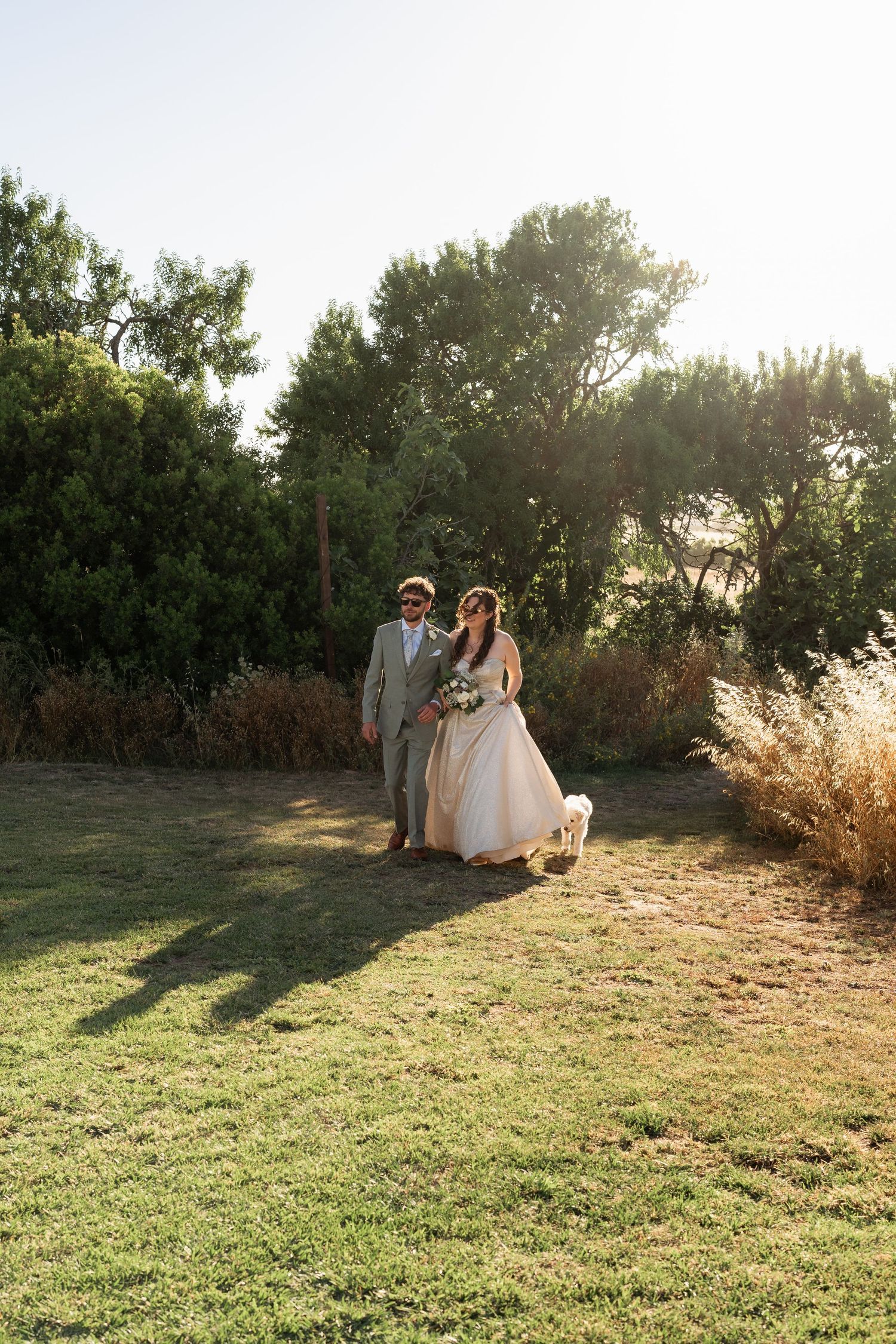 Bride and groom walking on green grass with small white dog, surrounded by trees and golden hour sunlight.