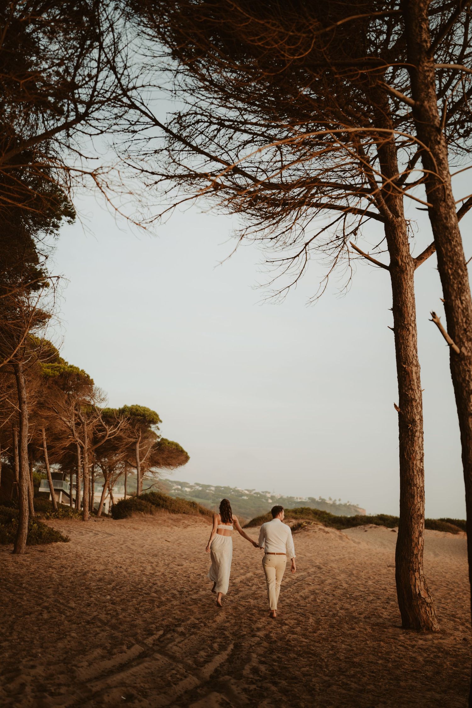 Couple in white holding hands walking on sandy beach path surrounded by tall pine trees at golden hour.