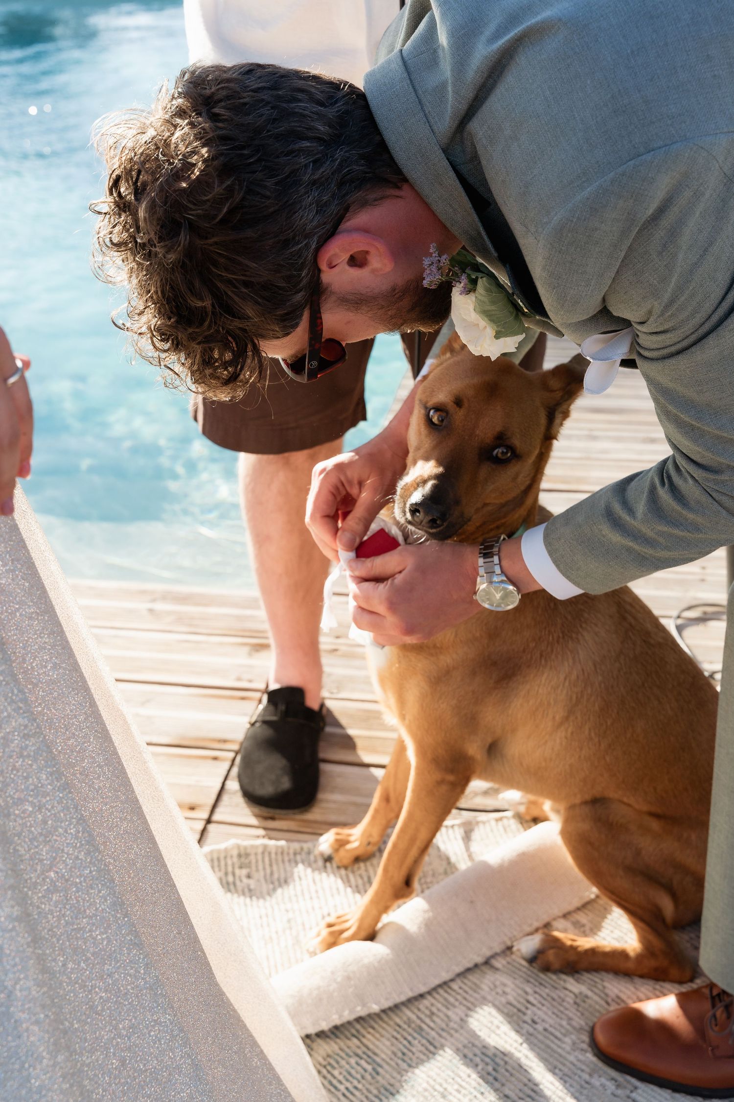 Man in gray suit feeding a brown dog on a wooden deck beside a pool at an outdoor event.