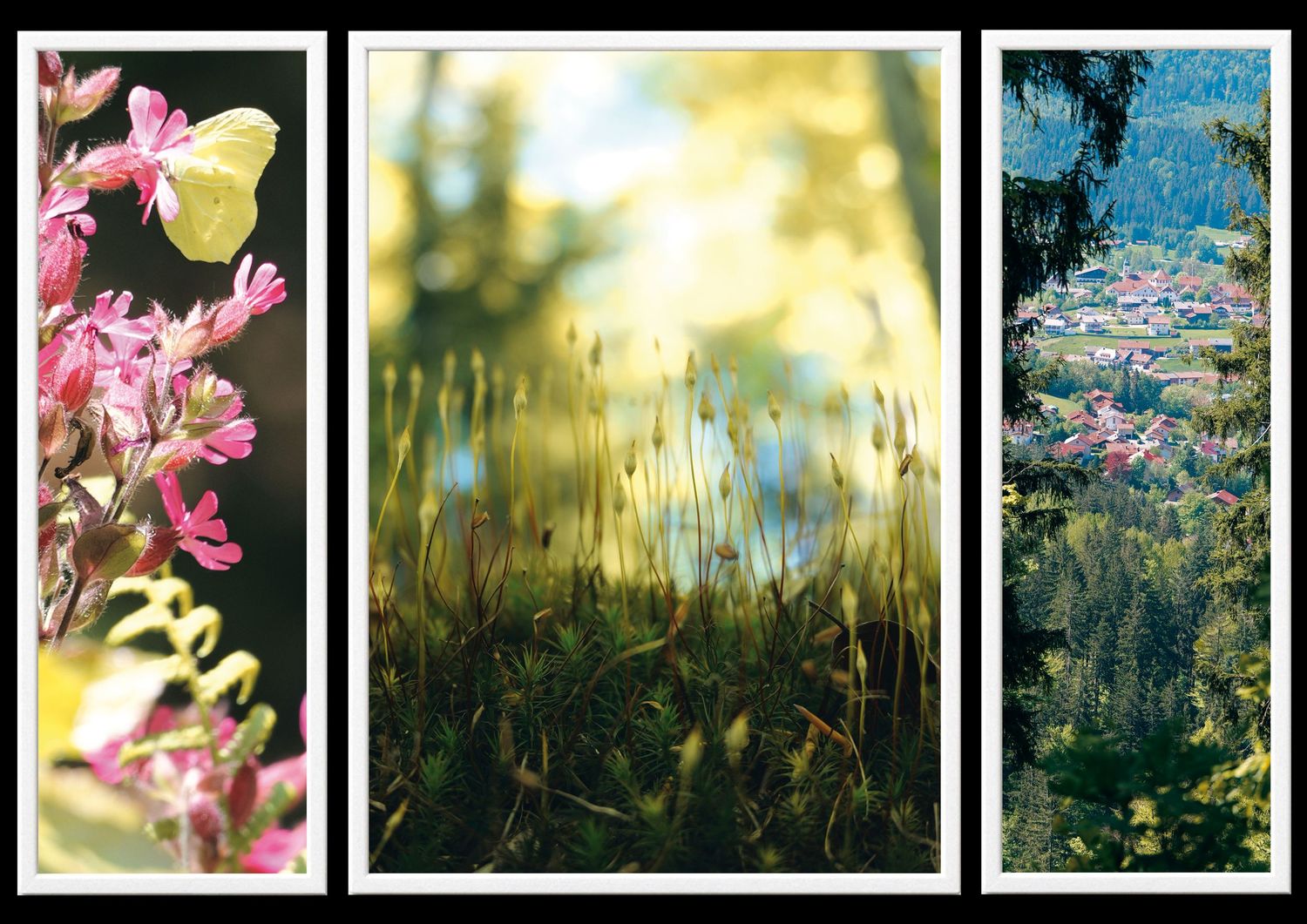 Triptychon Riesslochwasserfälle