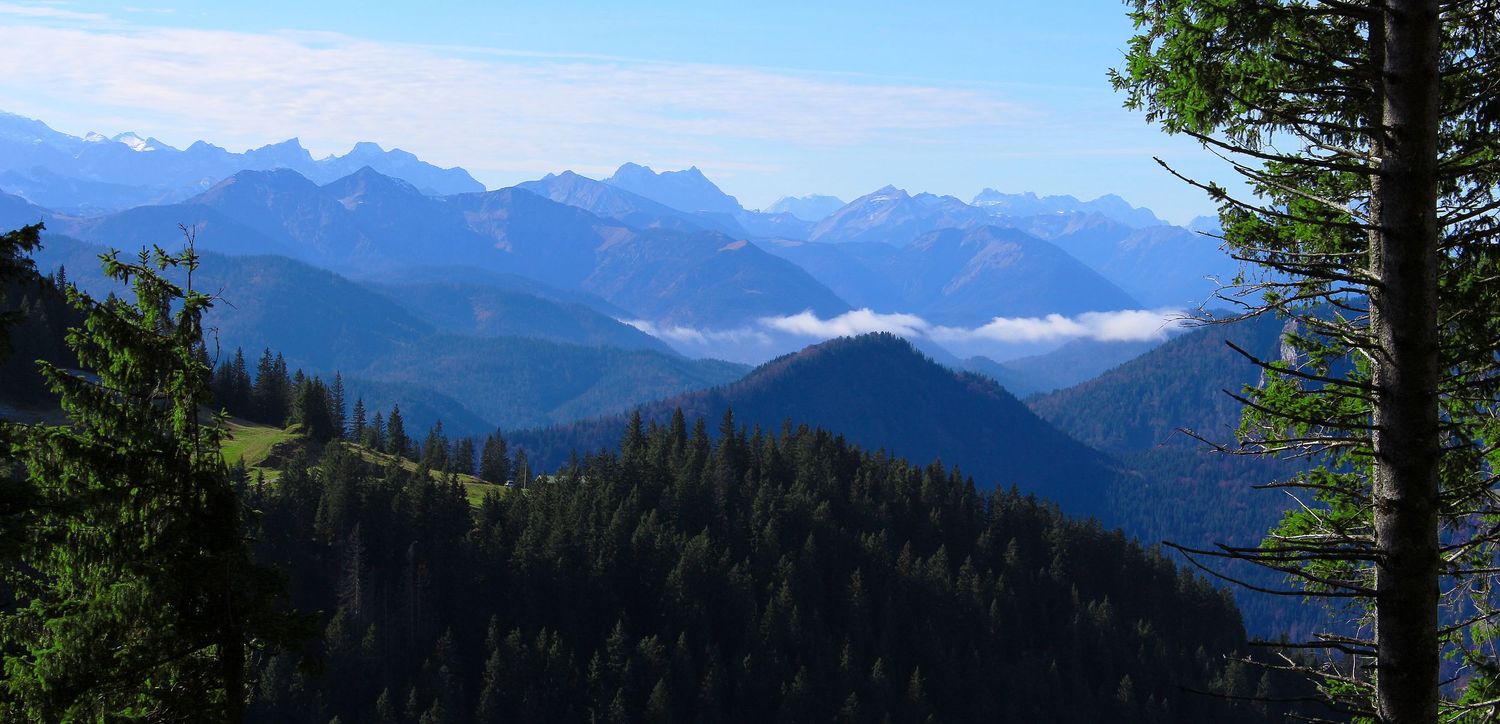 Aussicht vom Wallberg