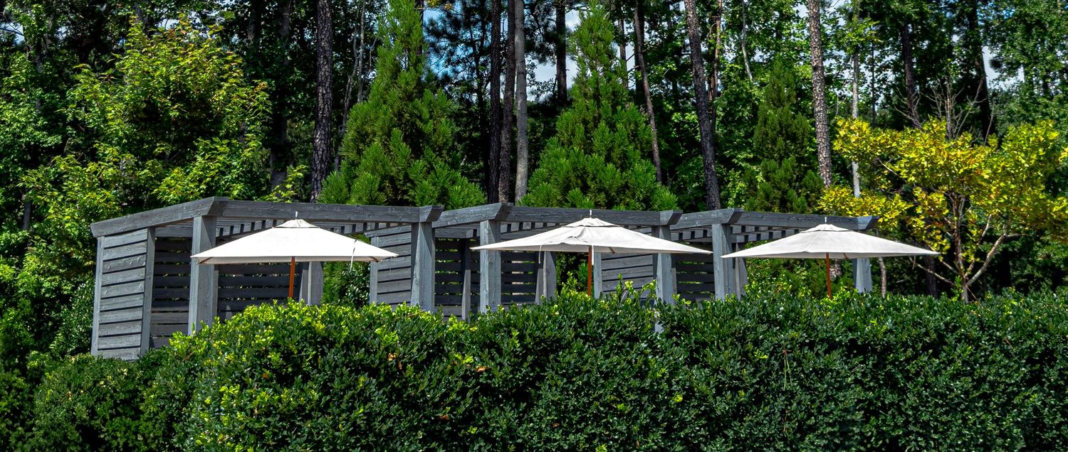 Lush green hedges surround charming gray cabanas with white umbrellas nestled among tall evergreen trees.