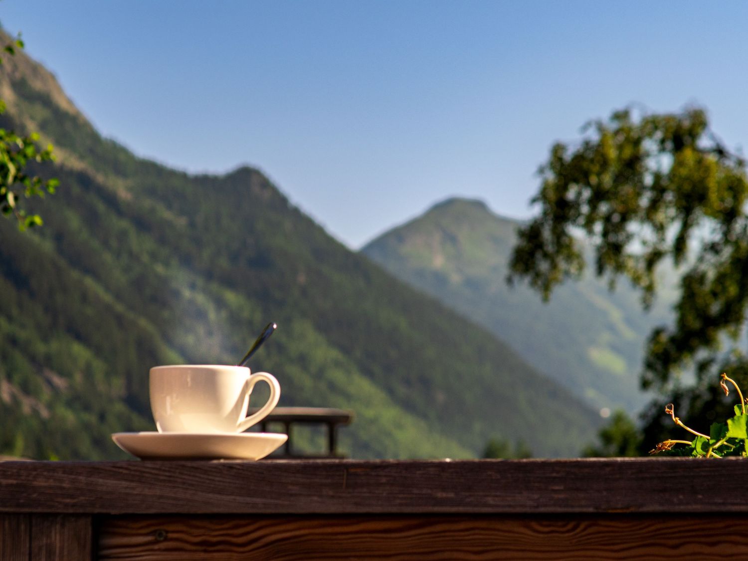 A white coffee cup on a wooden railing with lush green mountains and clear blue sky in the background.