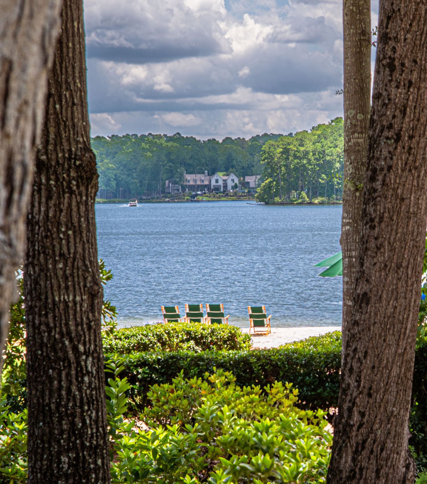 Scenic lakeside view framed by tall pine trees with green lounge chairs on a sandy beach ritz Carlton photograph, photography for hotel