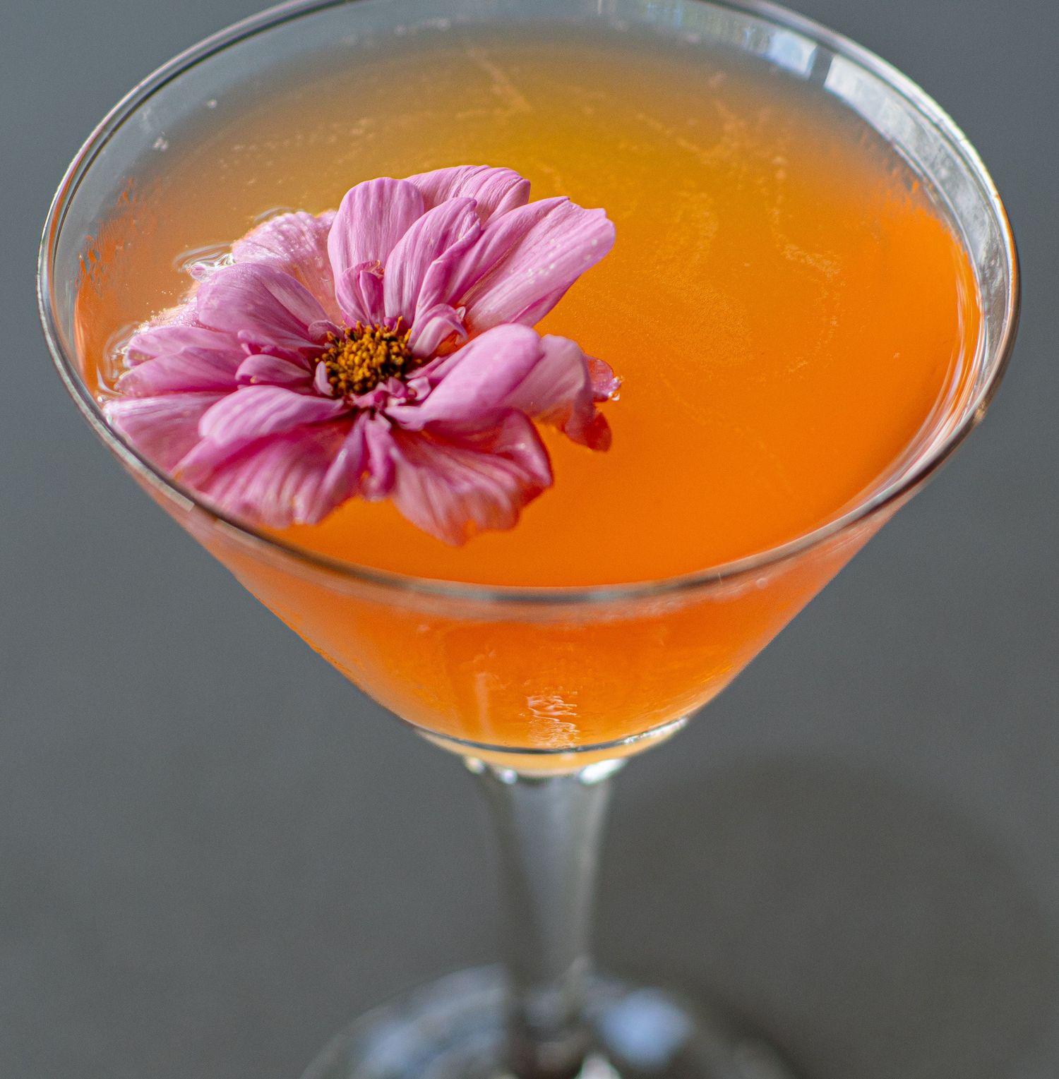 Orange cocktail in martini glass garnished with a pink flower, served on gray background.