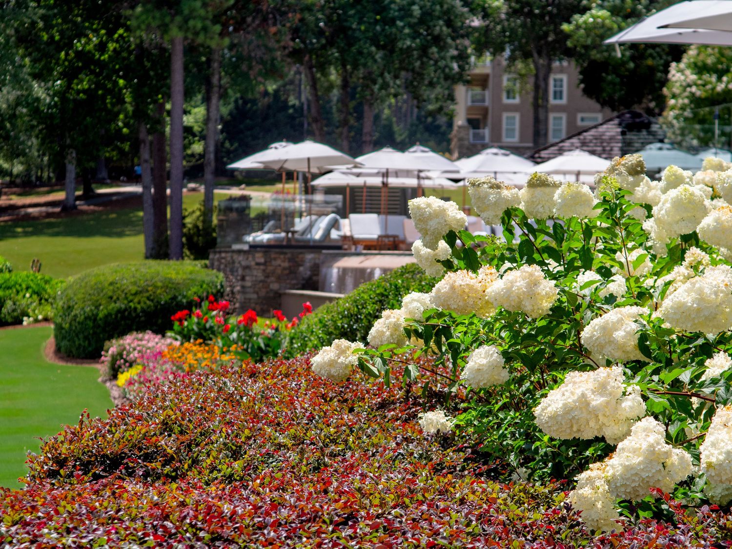 the ritz Carlton photo, resort photo ritz Carlton, pool hotel, piscine hotel, hospitality photographer international