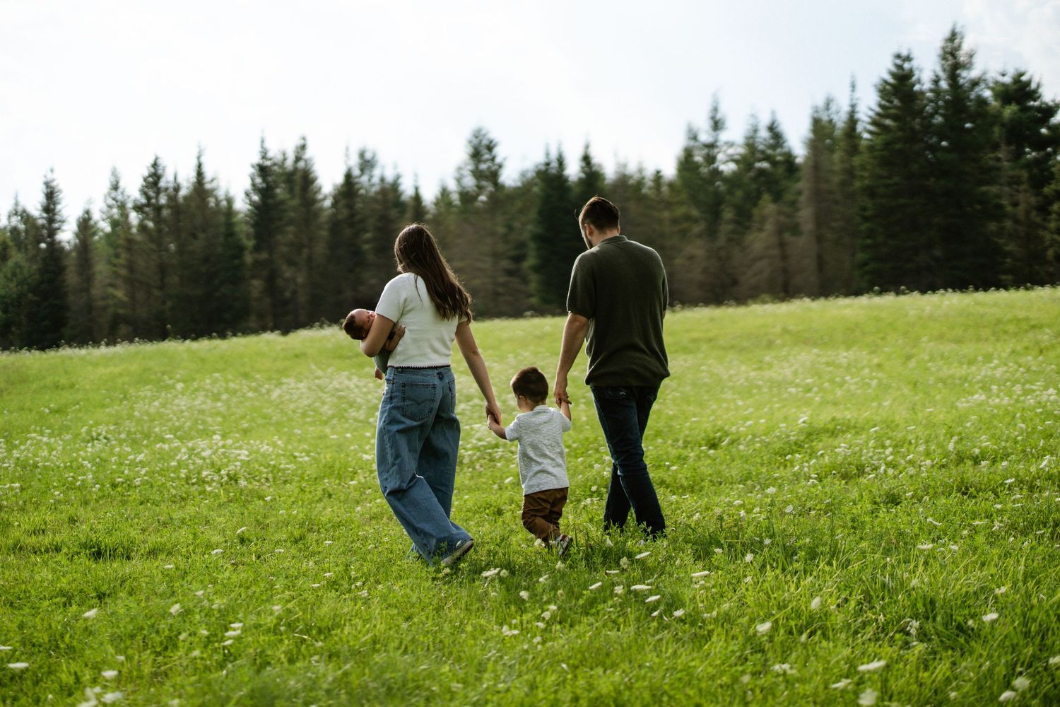 Family of four walking hand-in-hand through a lush green meadow with pine forest backdrop.