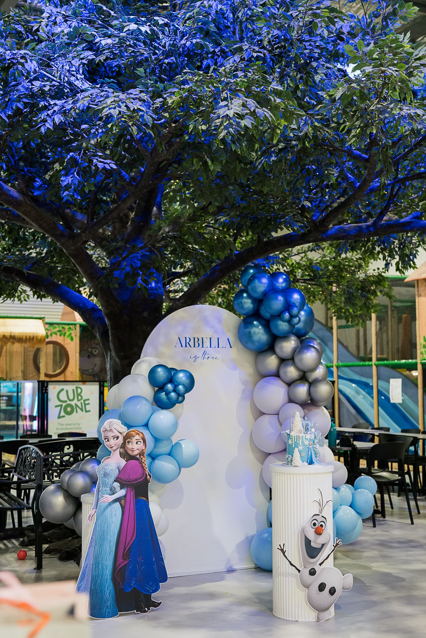 Outdoor party setup with blue balloon arch, themed decor, and party backdrop under a tree.