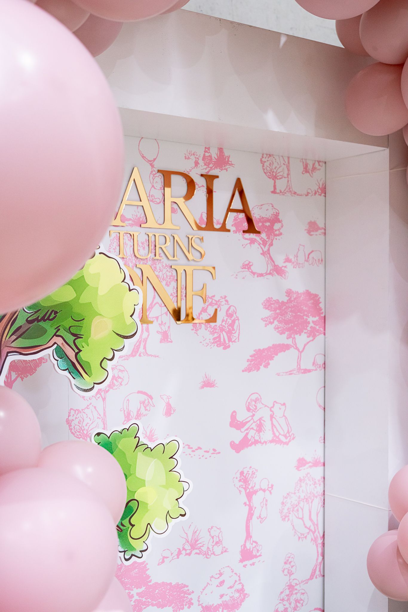 Pink balloon decorations framing 'ARIA TURNS ONE' text with green dinosaur accents.