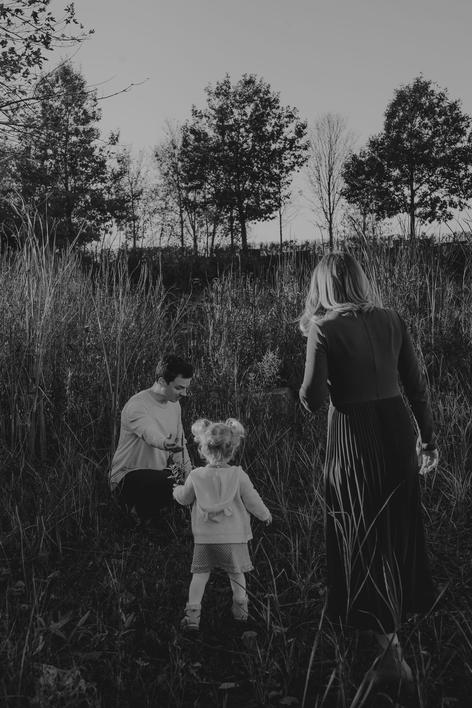 Black and white series of a family walking through tall grass at dusk.