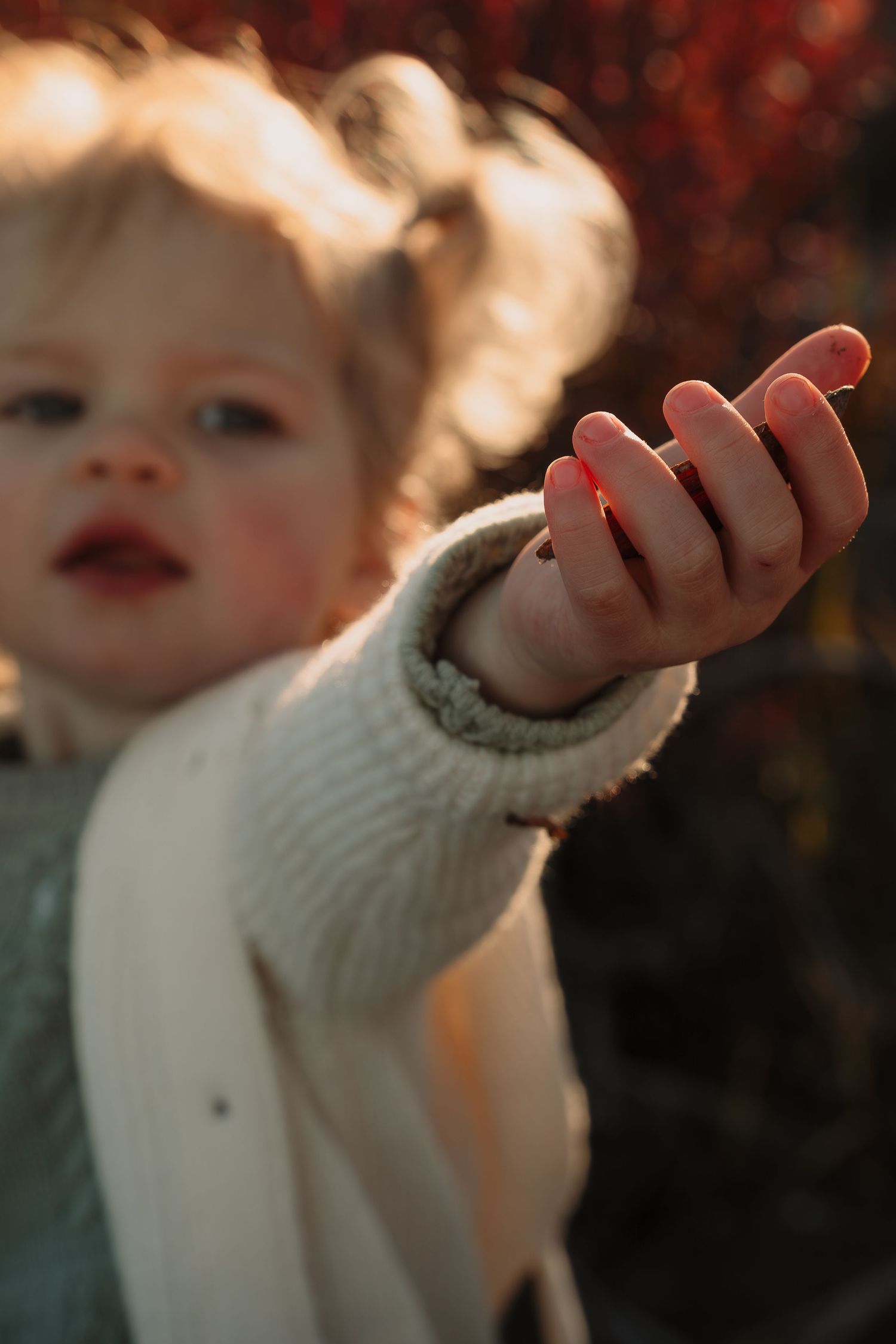 Close-up shots of small hands reaching up against autumn sunset light.