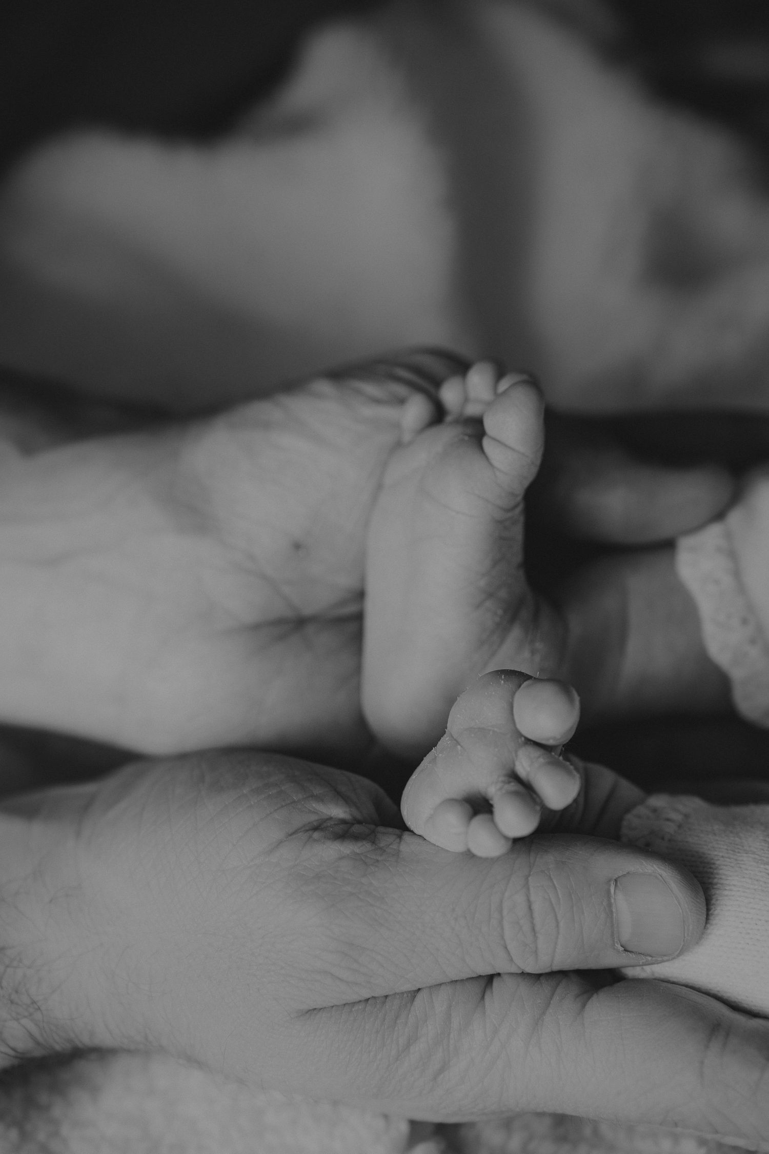Close-up black and white photo of adult hands cradling tiny newborn baby feet.