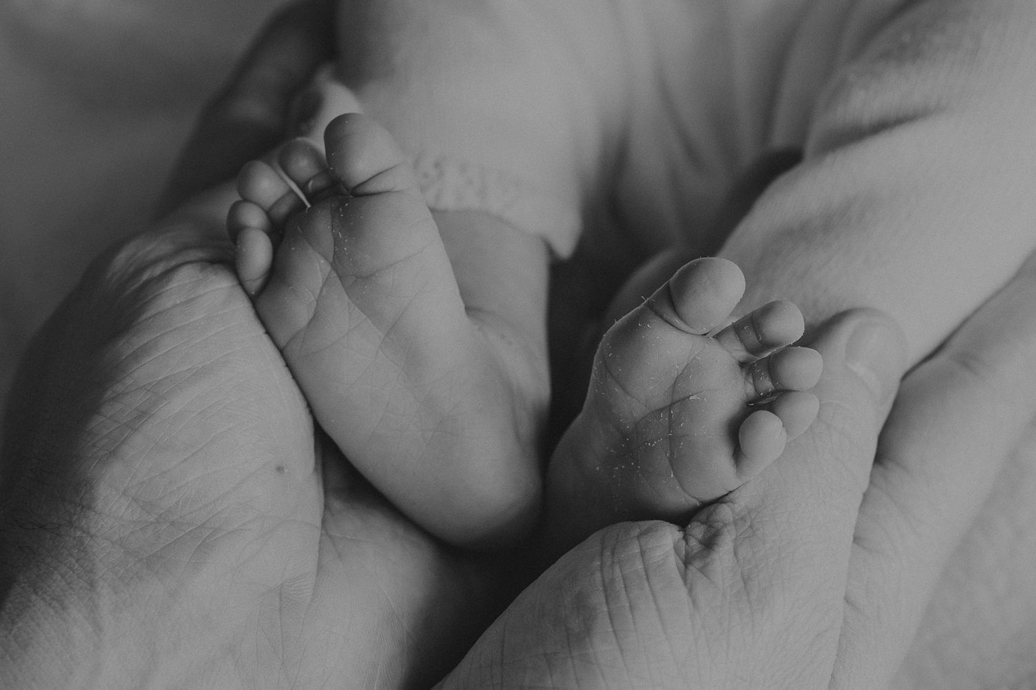 Black and white close-up of tiny newborn baby feet cradled gently in adult hands.