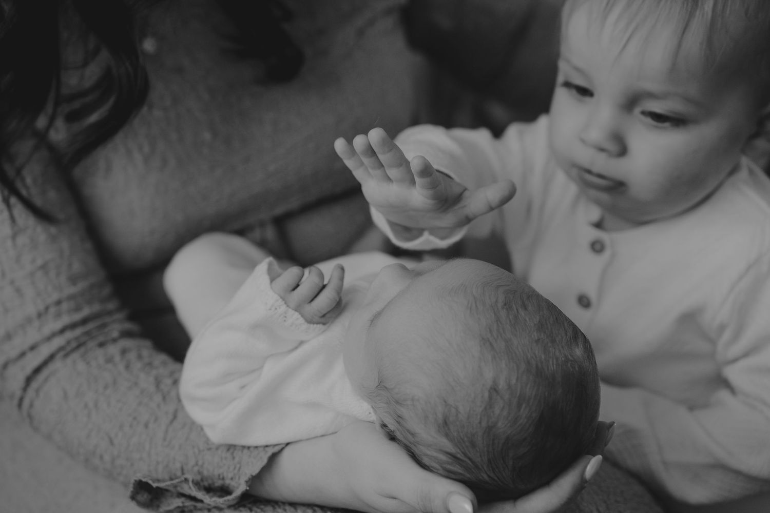 Black and white photo of toddler gently touching newborn baby held by mother.