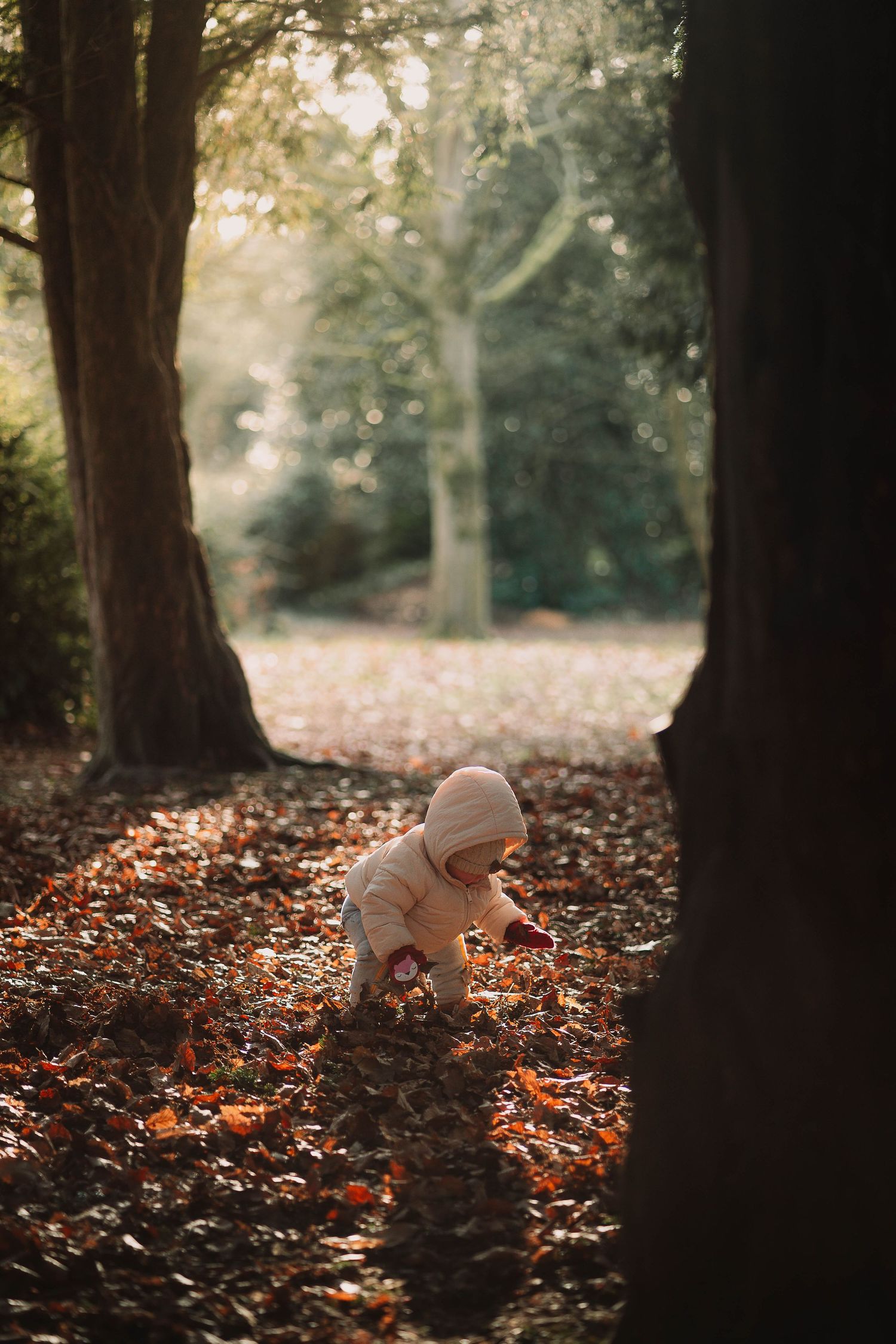 Toddler bundled up with winter clothes bent down at the ground during while the sun shines through tress at Tamworth outdoor photo session.