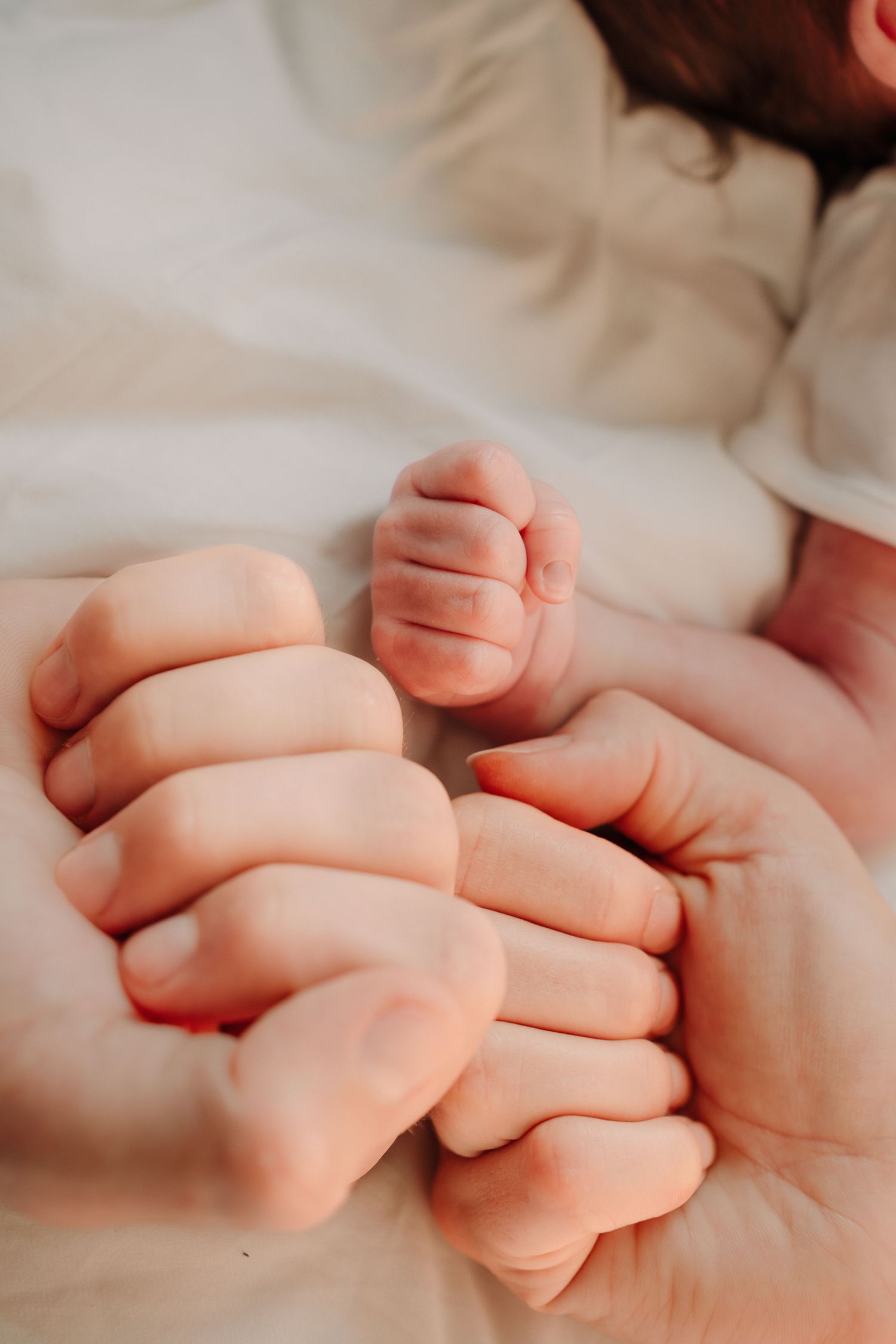 Close-up view of tiny baby fingers gently holding onto an adult's finger in soft natural lighting.