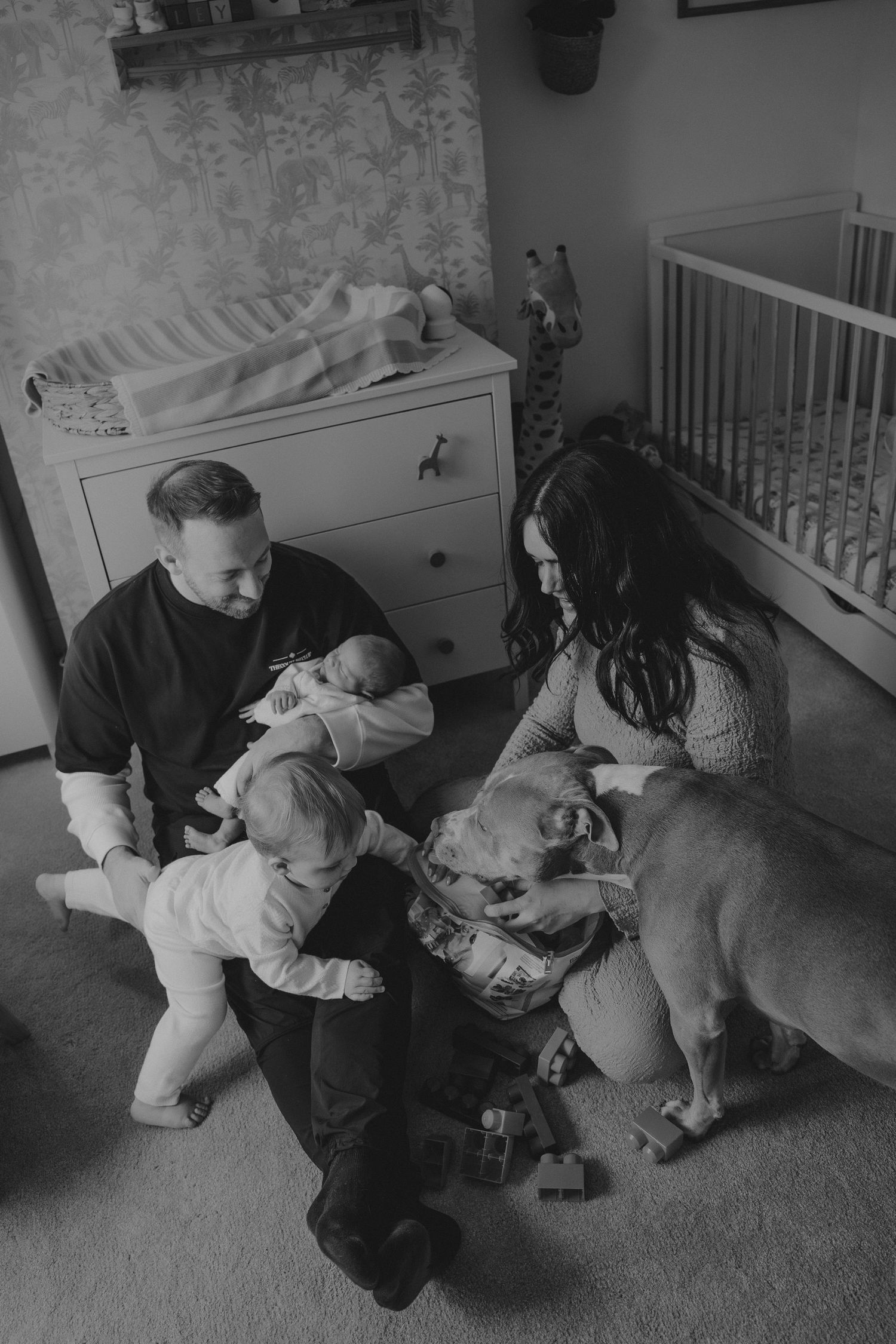 Black and white family photo with parents, toddler, newborn, and dog in a nursery.