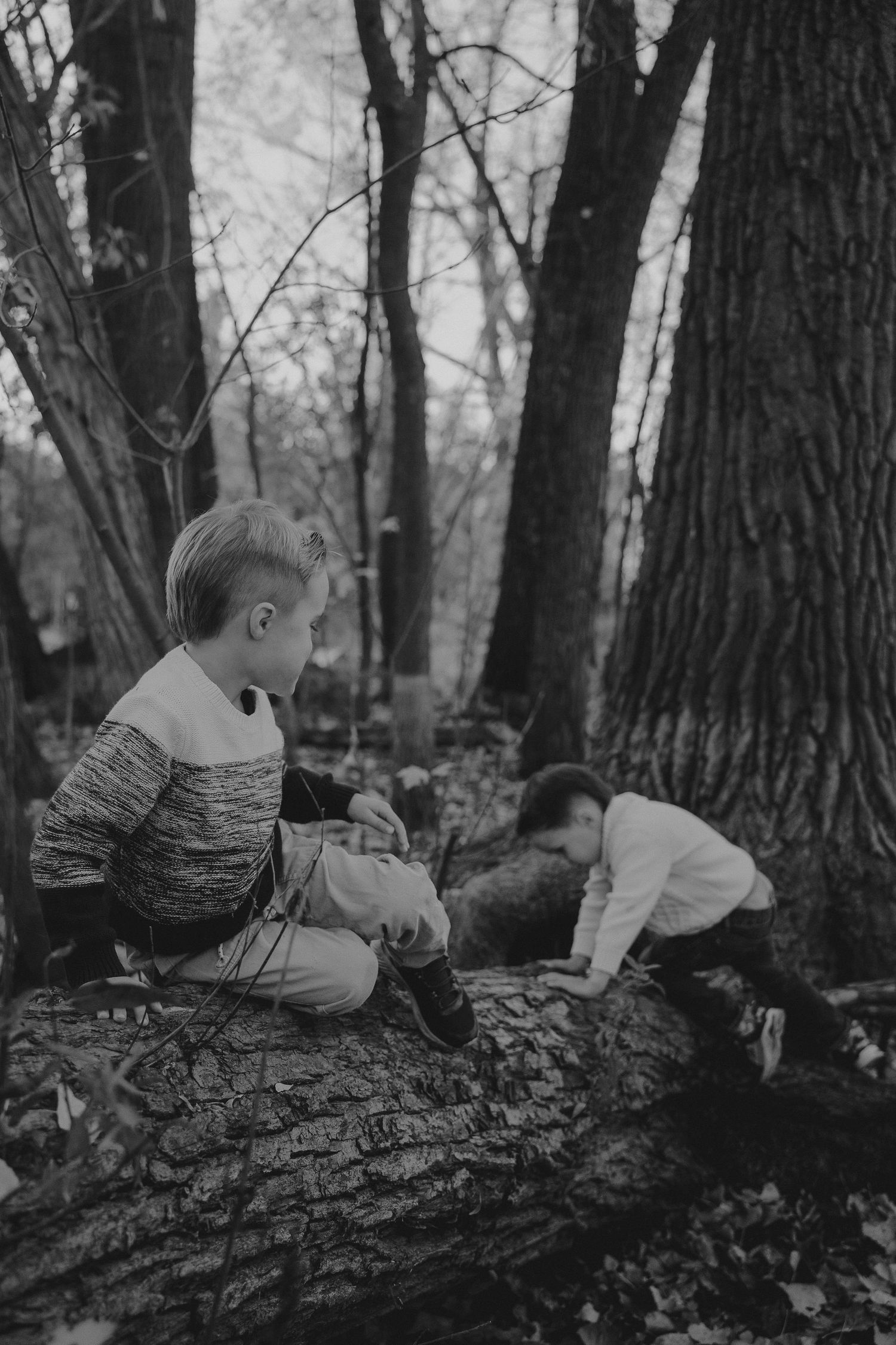 Black and white photo of a child exploring and climbing on a fallen tree trunk in the woods by a Tamworth family photographer.