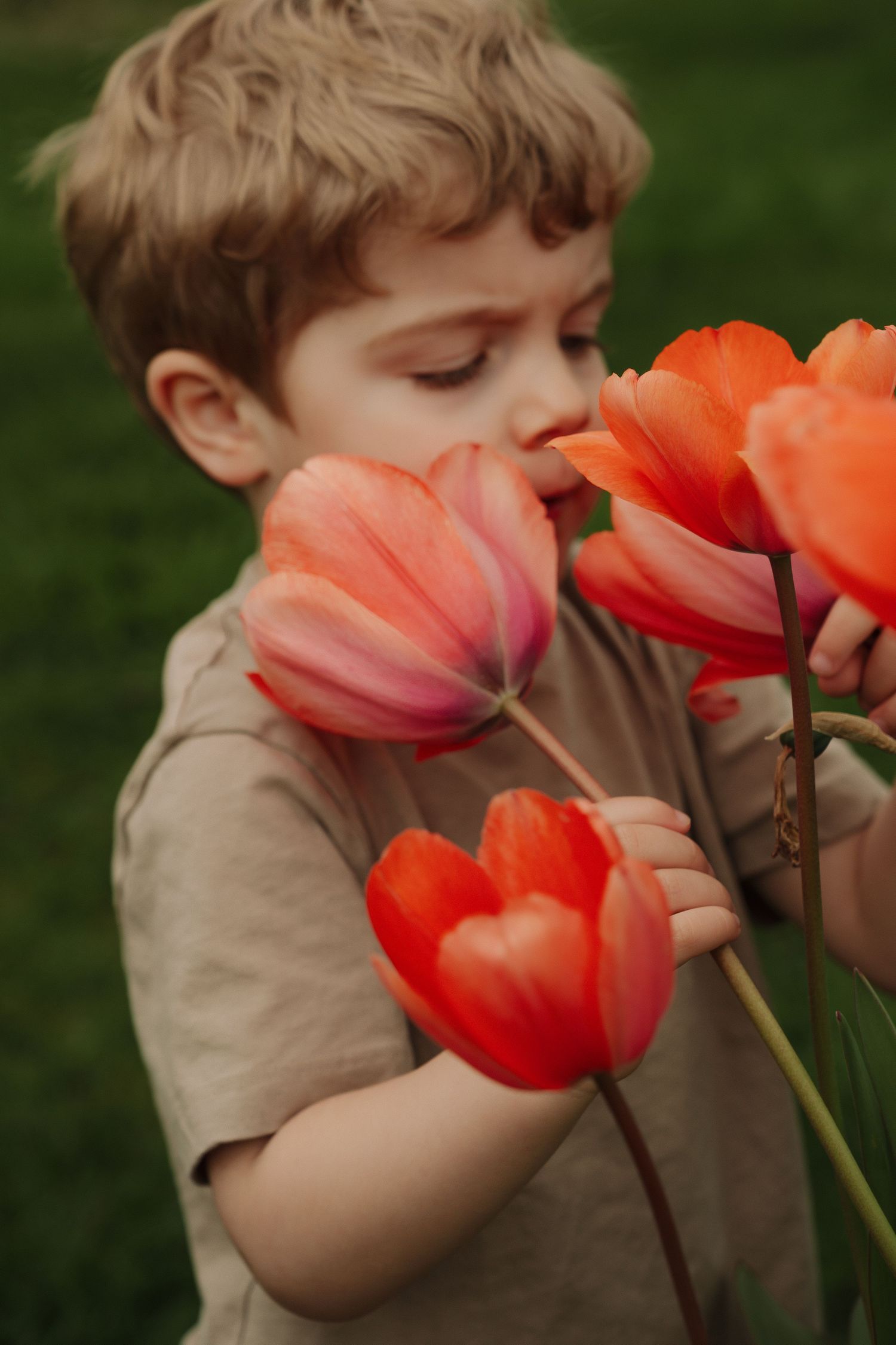 A young child in a beige shirt smells bright orange and red tulips in a garden setting.