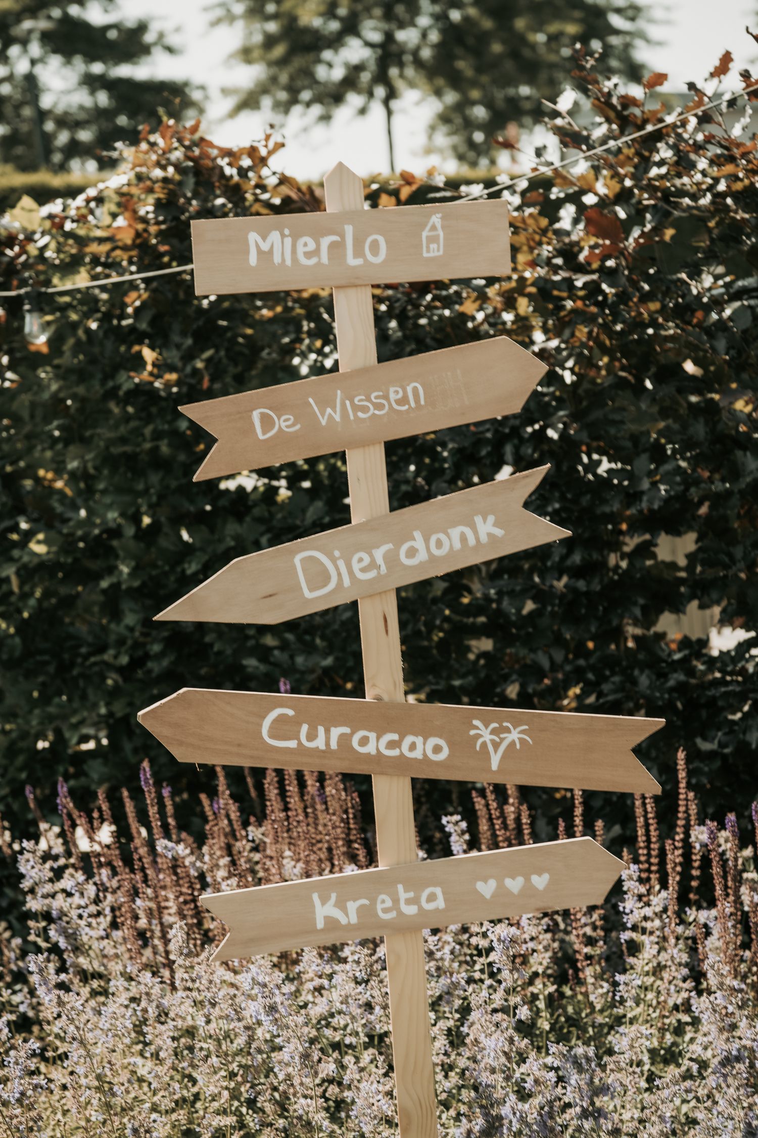 Rustic wooden directional sign with handwritten destination names stands among blooming flowers in a garden setting.