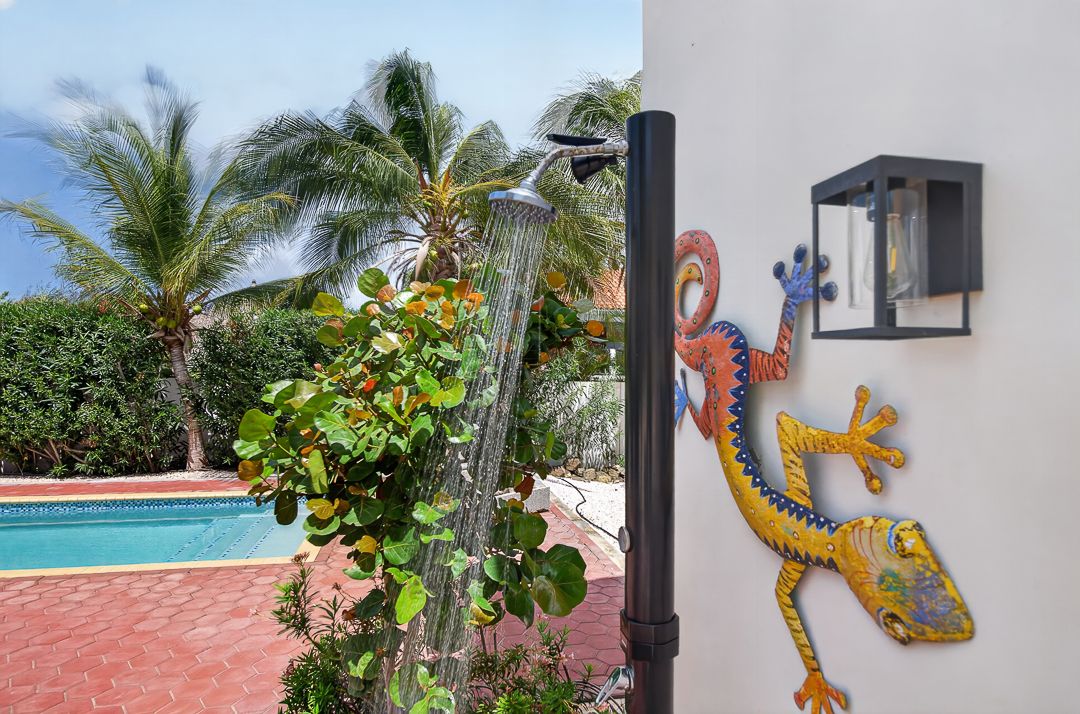 Outdoor shower beside a colorful gecko wall art and lantern sconce, with a tropical pool and palm trees in the background.
