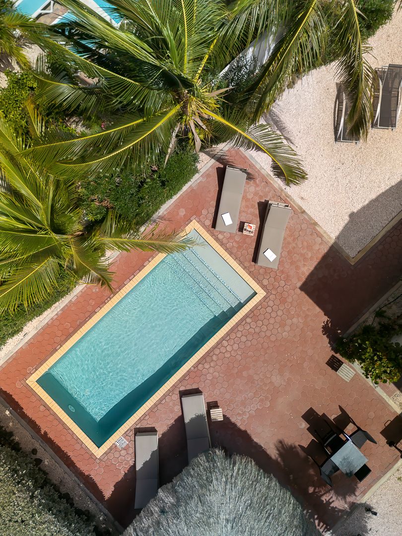 Aerial view of a rectangular swimming pool surrounded by palm trees and lounge chairs on a red tile deck.