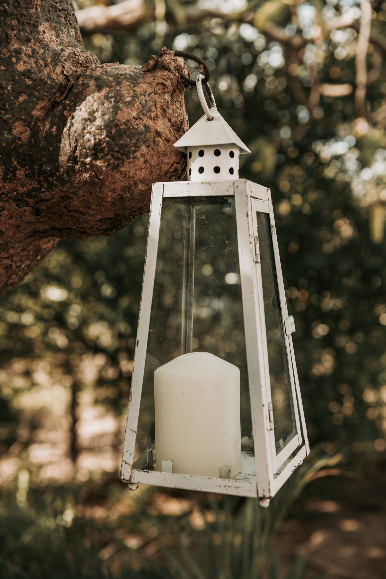 A white vintage-style lantern with a candle inside hangs from a rustic tree branch in a garden setting.