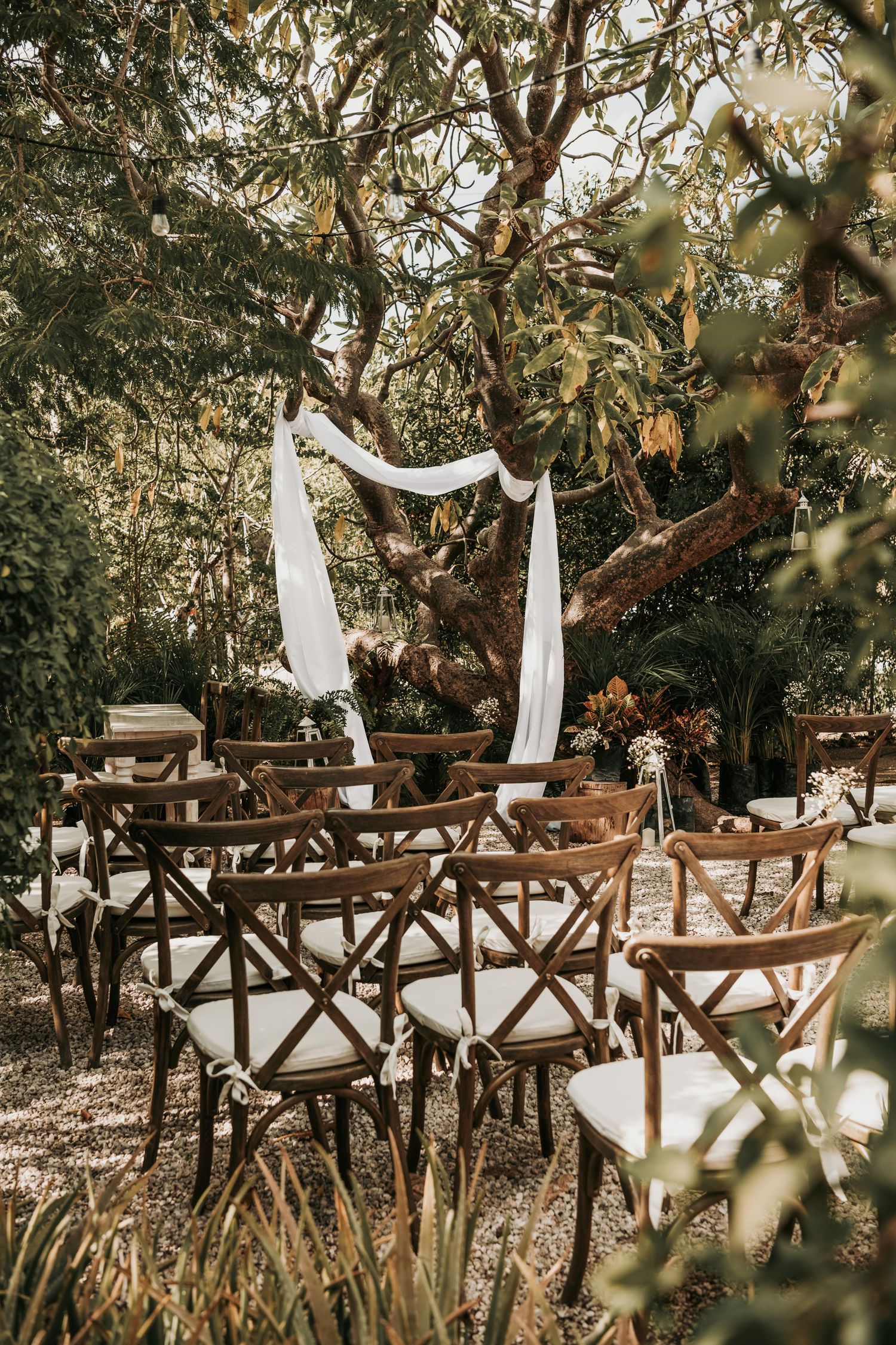 Rustic wooden cross-back chairs arranged outdoors under trees with white fabric draping for an intimate garden wedding ceremony.