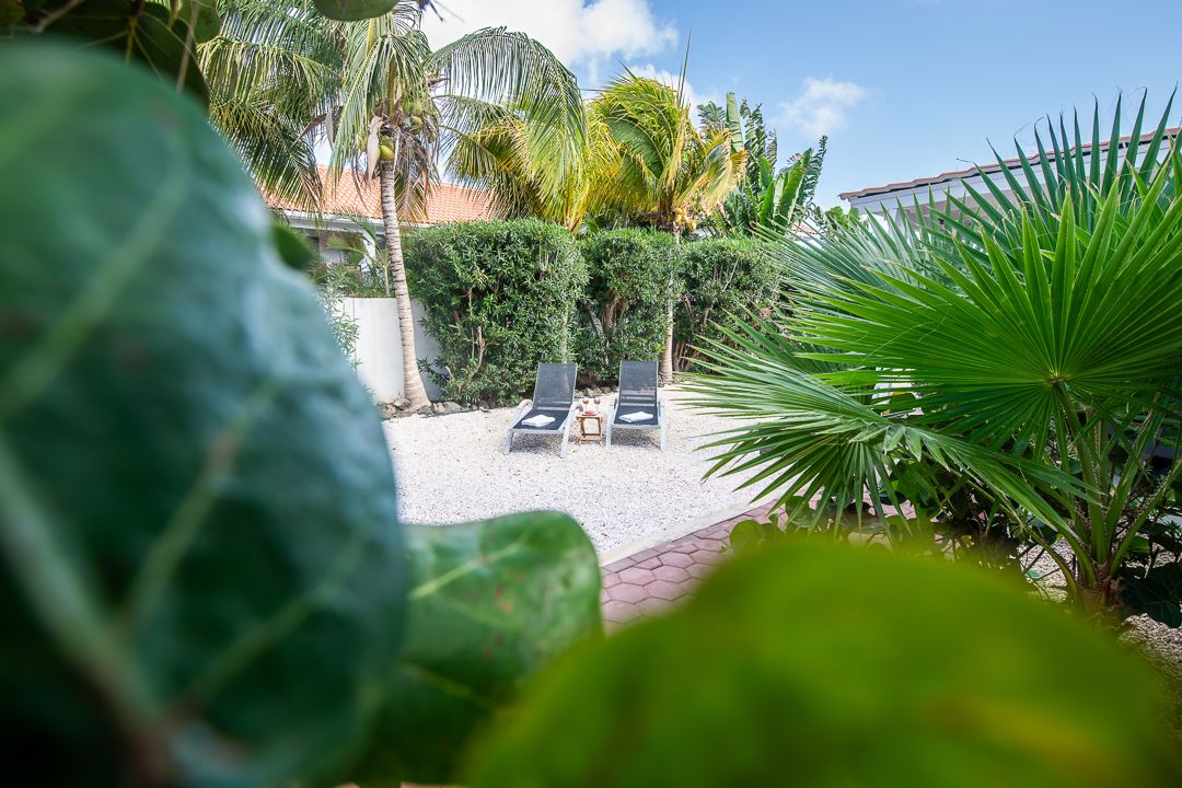 Tropical garden patio with lounge chairs surrounded by lush palm trees and green hedges in sunny weather.