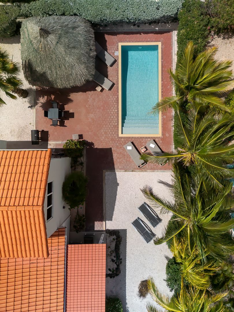 Aerial view of a tropical villa with a rectangular pool, thatched umbrella, lounge chairs, and palm trees.