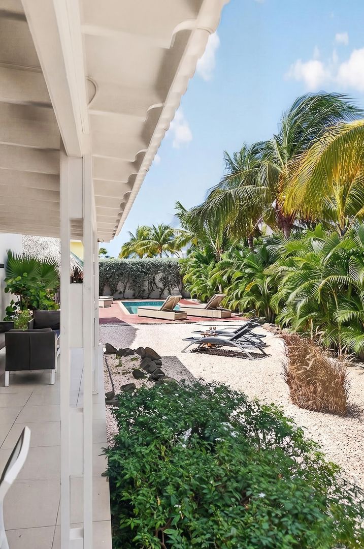 Tropical villa patio with pool, lounge chairs, lush palm trees, and white gravel garden under a sunny blue sky.