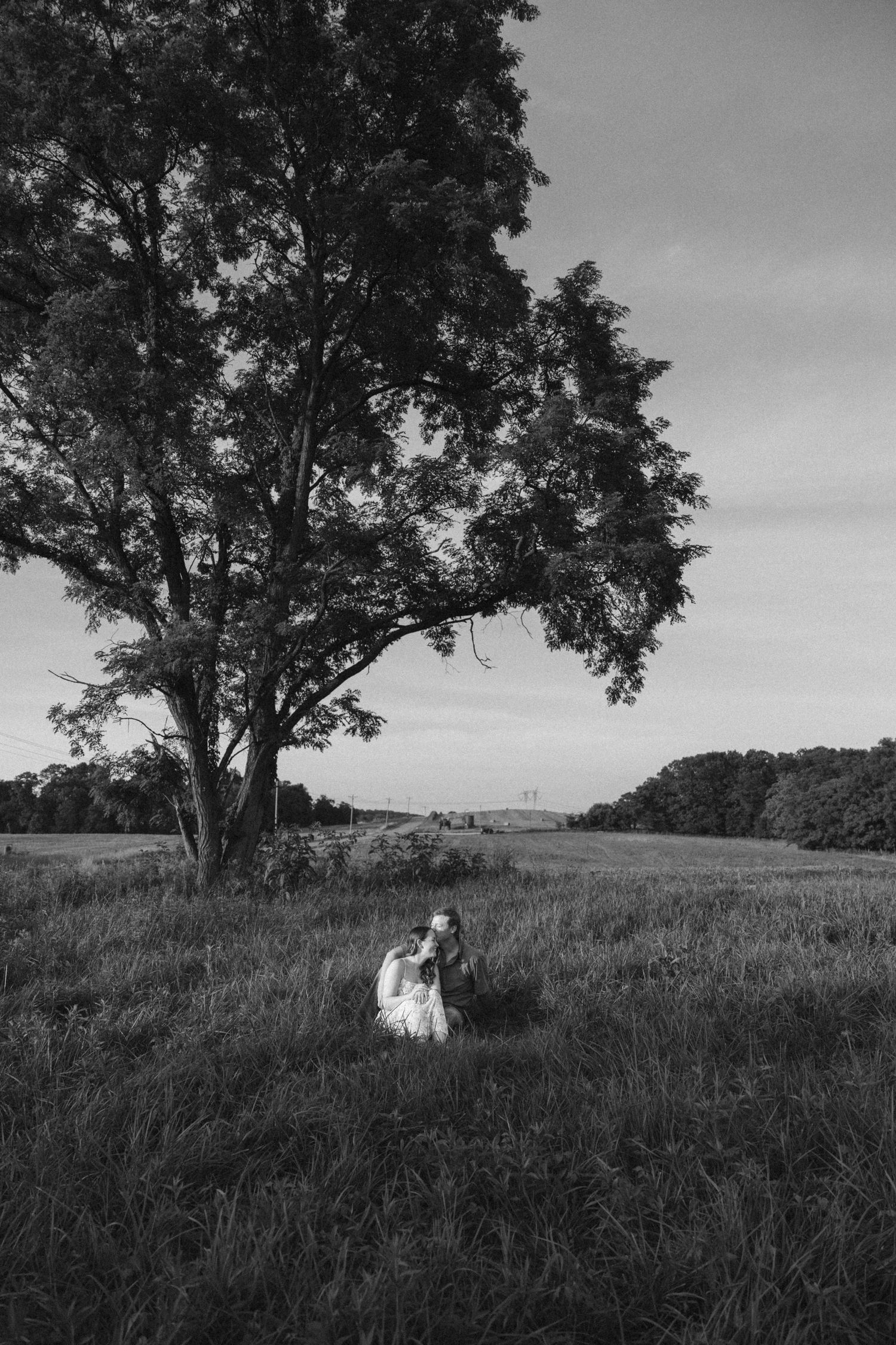 Black and white landscape photograph of a hillside with large trees.