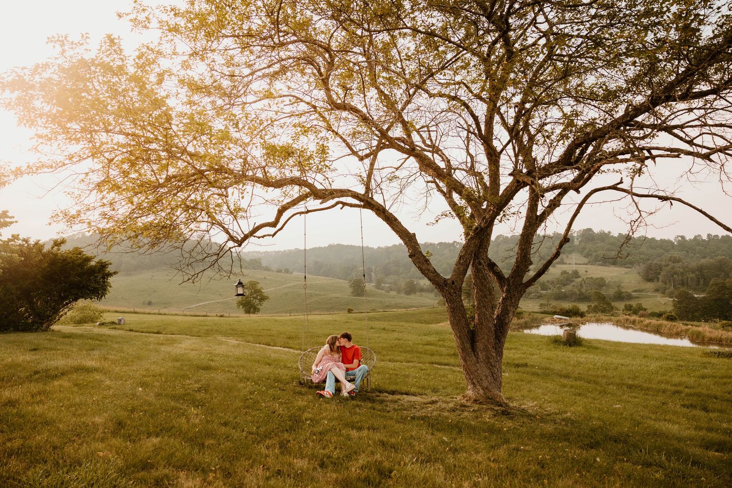 A panoramic view of a couple sitting under sprawling trees in a golden sunset field.