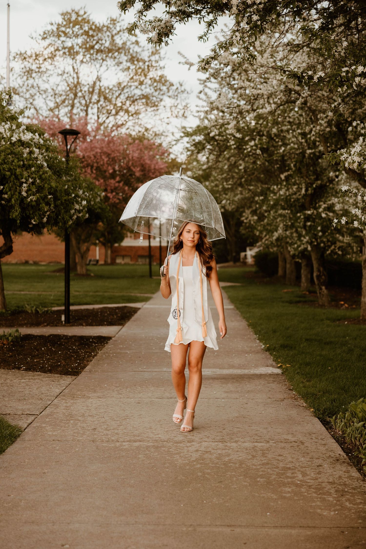 Person walking with clear umbrella under blooming spring trees.