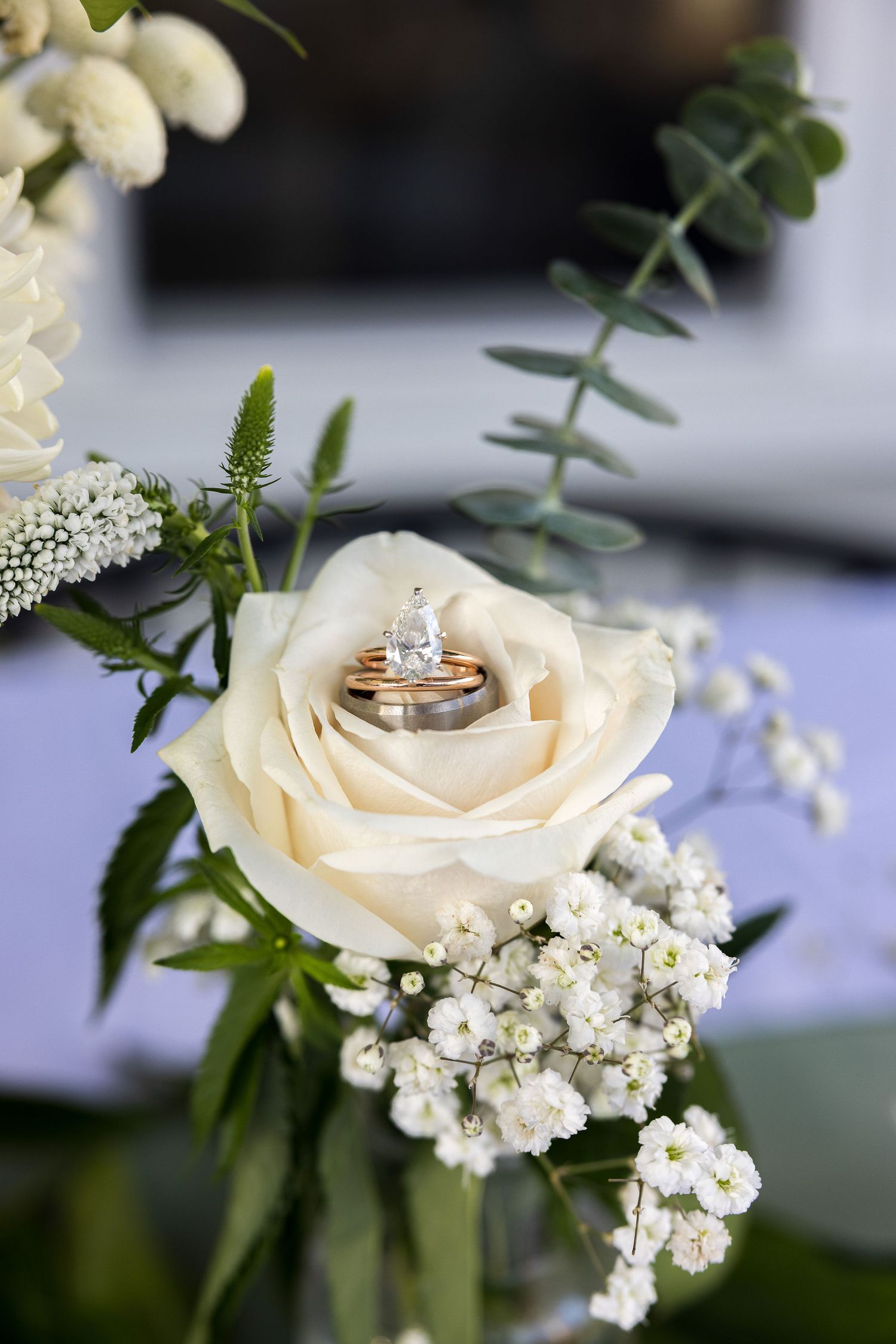 Ring being held inside a beautiful rose on wedding day symbolizing beauty, love, and the start of a new journey.
