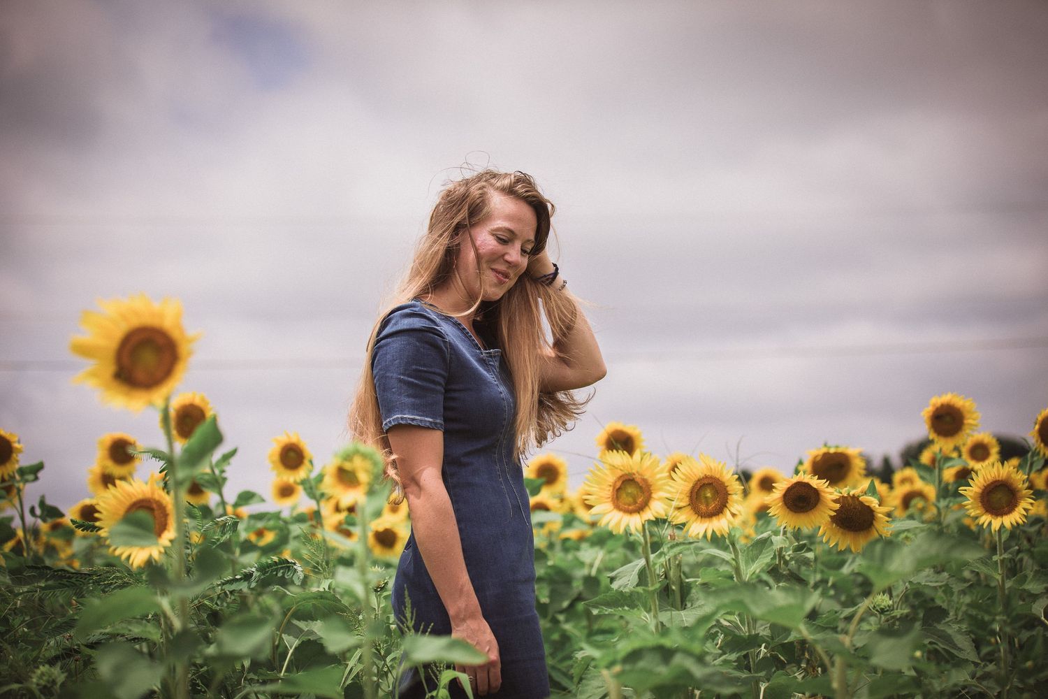 Beautiful portrait in a sunflower field at Boone Hall Plantation in Charleston, SC.
