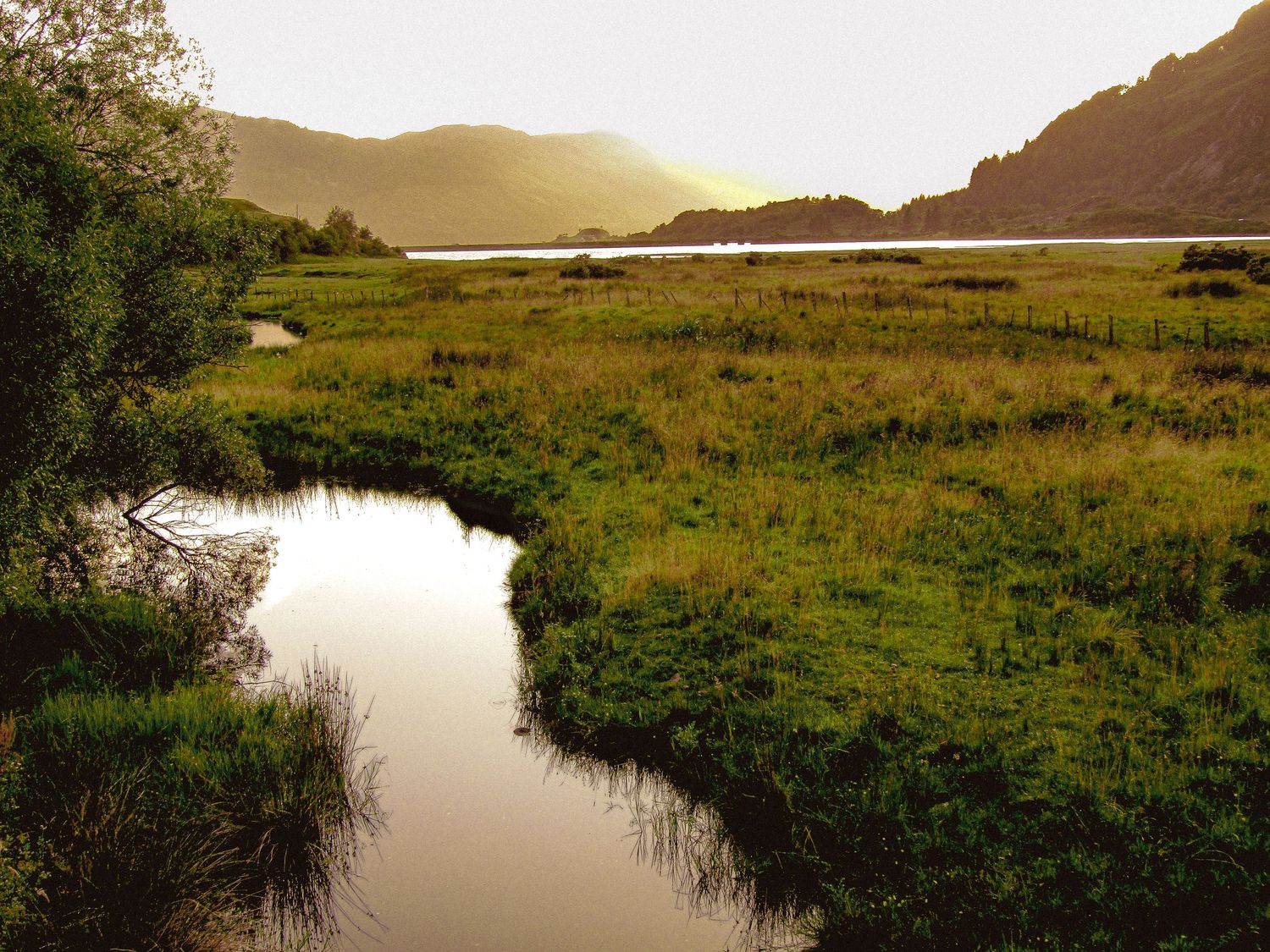 Morvich Landscape, Scotland