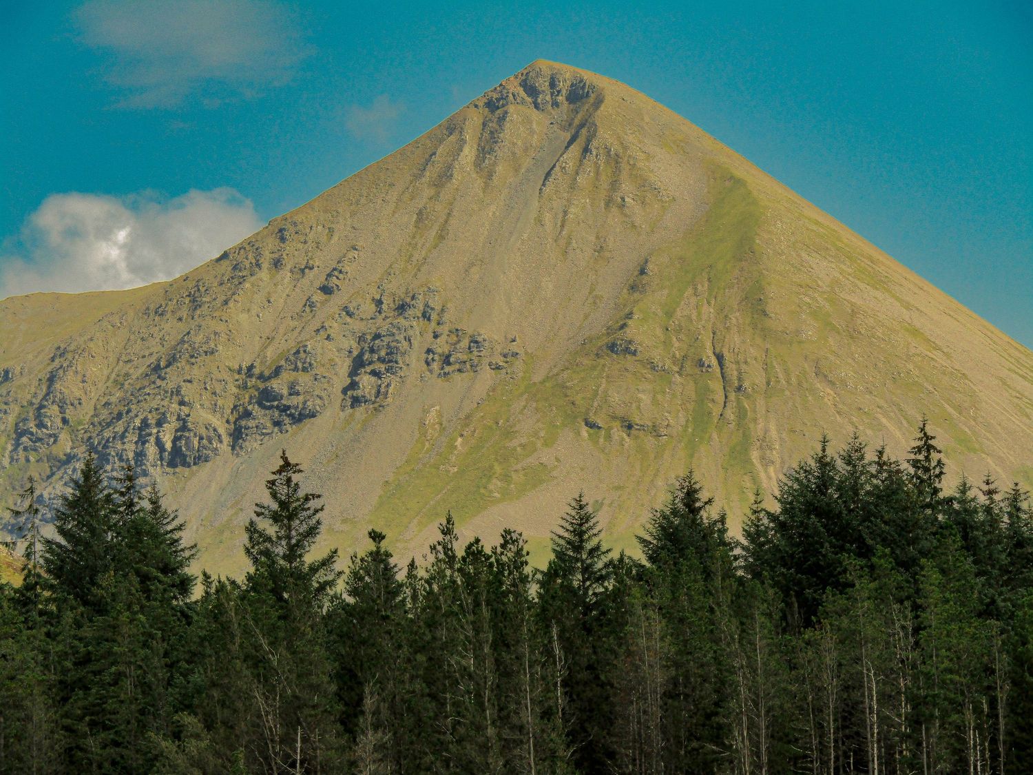 Fine art landscape photo of a dramatic mountain peak above pine trees on Isle of Skye, framed wall art prints and downloads.
