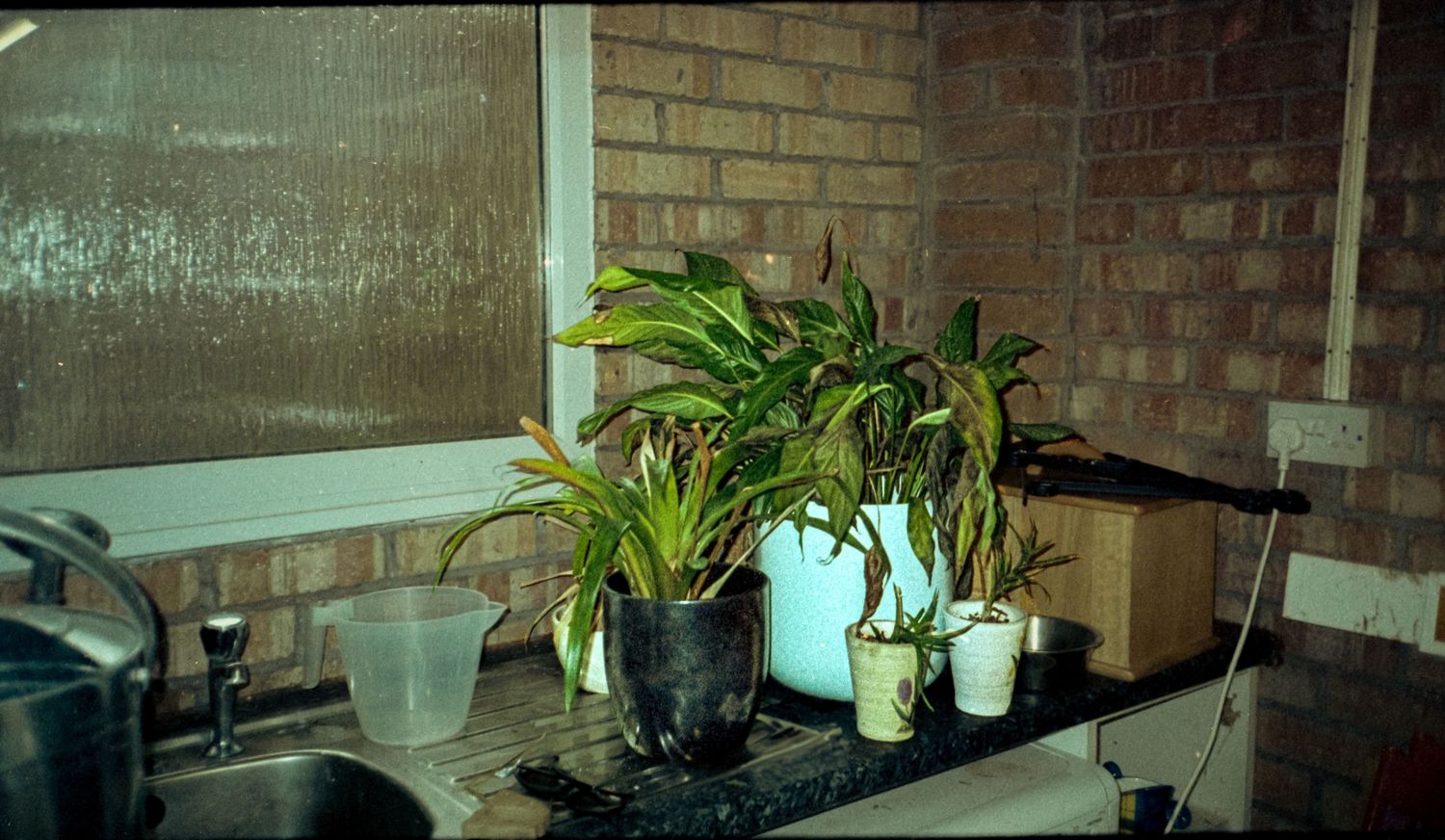 Old Film 01 (2024)