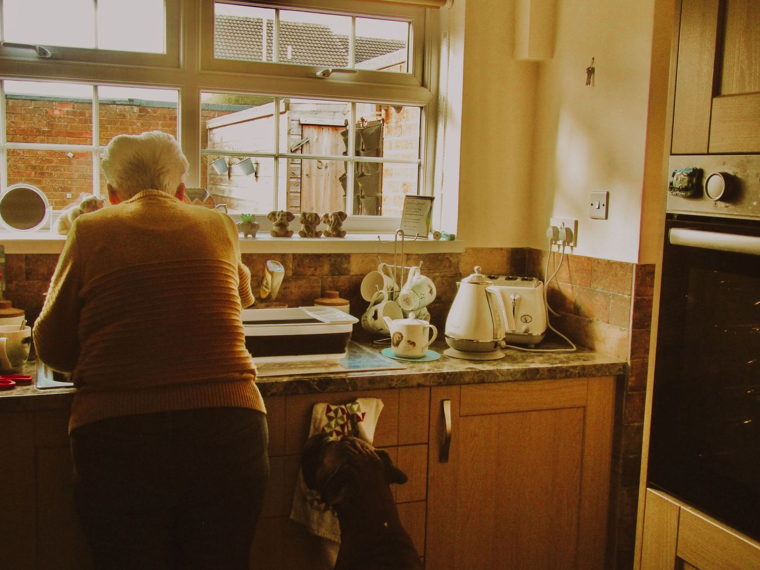 Domesticity 07 (2024)